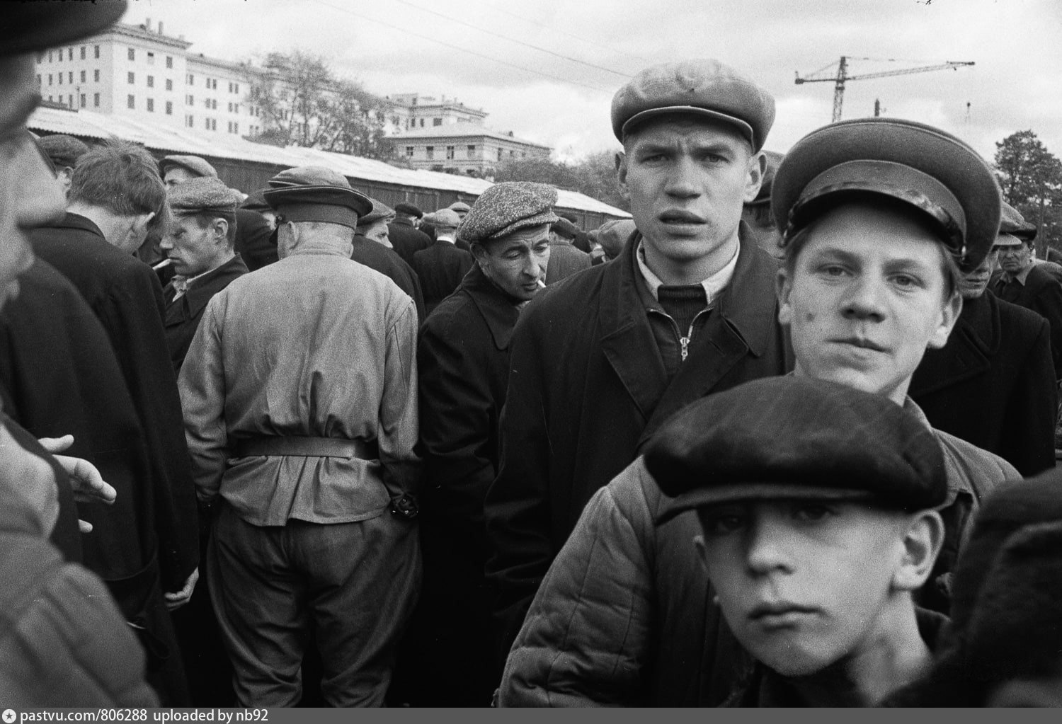 Старые фото 50 годов. Птичий рынок Москва Калитниковская. Калитниковский птичий рынок на Таганке. Калитниковский рынок в Москве. Птичий Ранок Калитниковская.