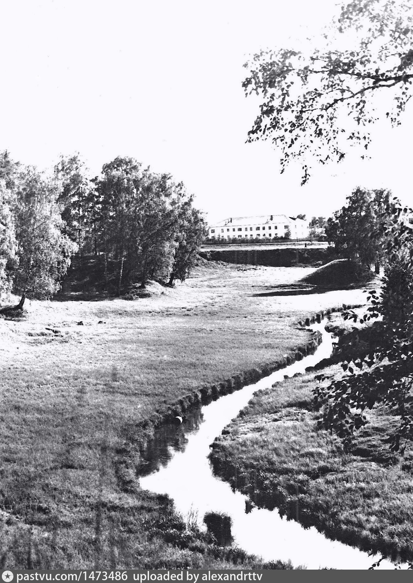 На данной фотографии изображен. Река Аркарка тара. Загородная роща Омск. Аркарка река в Таре нахождения. Старая Загородная роща Омск фото.