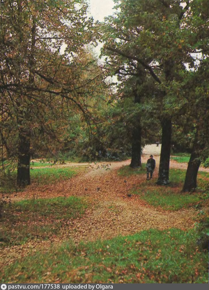 Фото парка филевского парка