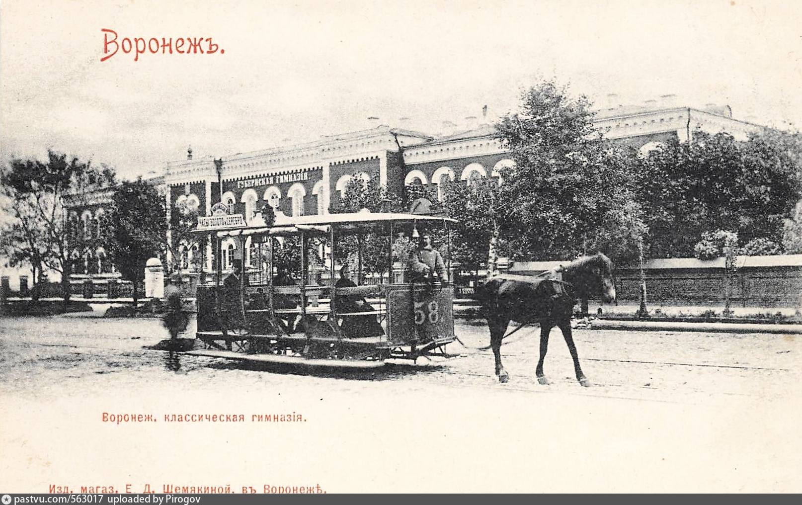Конка Воронеж 1891 год