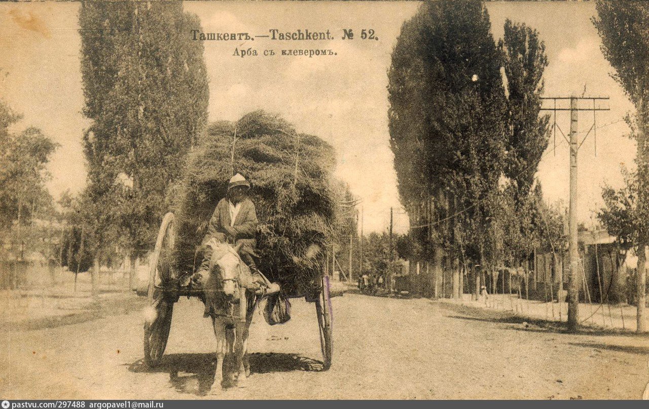 Ташкент петербург. Олд Ташкент. Старый и новый Ташкент. Ташкент 1936. Старые снимки из Ташкента.