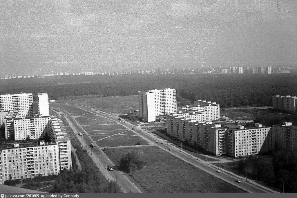 Район Ясенево в 1970 году. Ясенево в 1976 году. Ясенево СССР. Ясенево 80-е. Улицы в ясенево москва