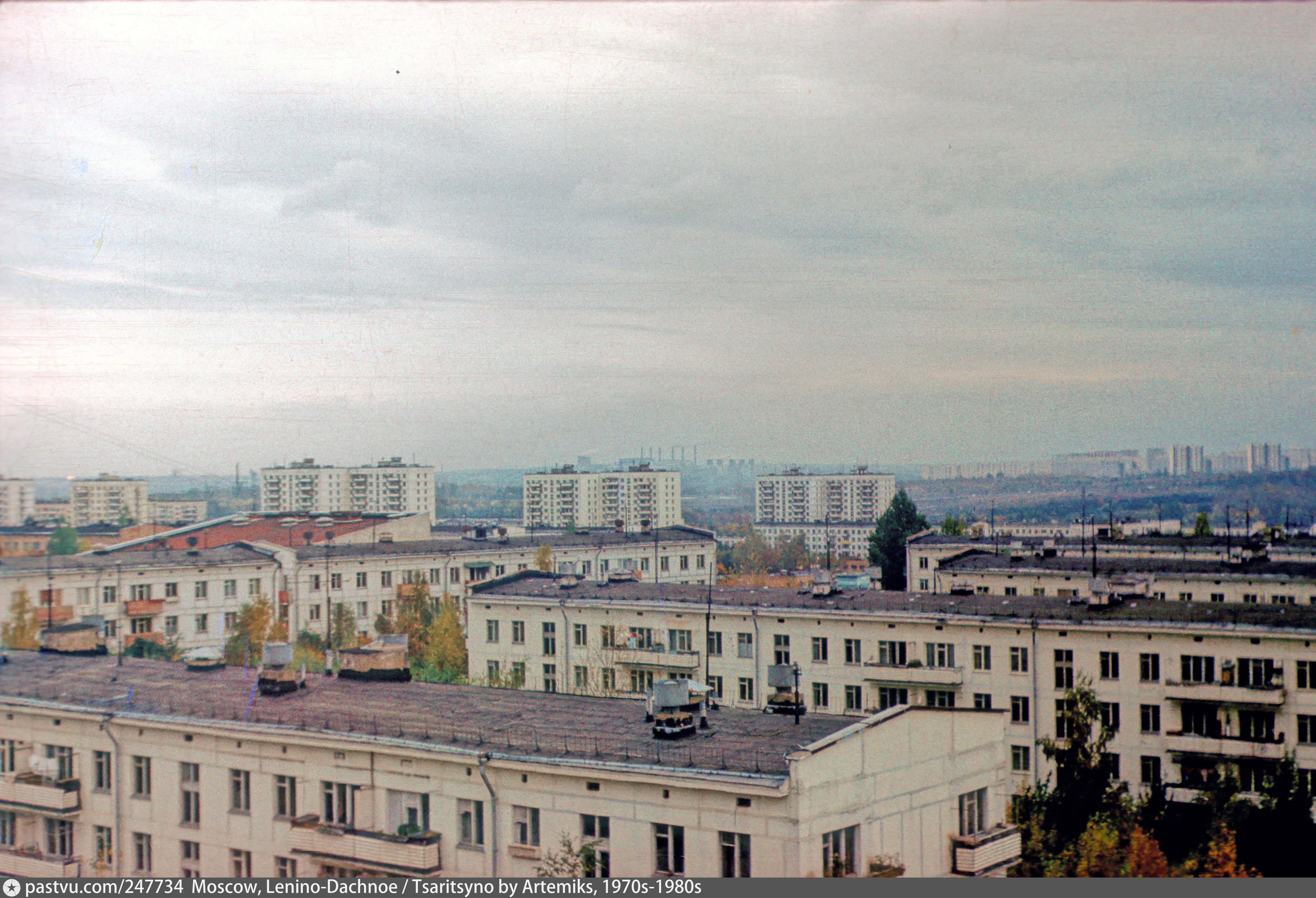 ленино дачное фото