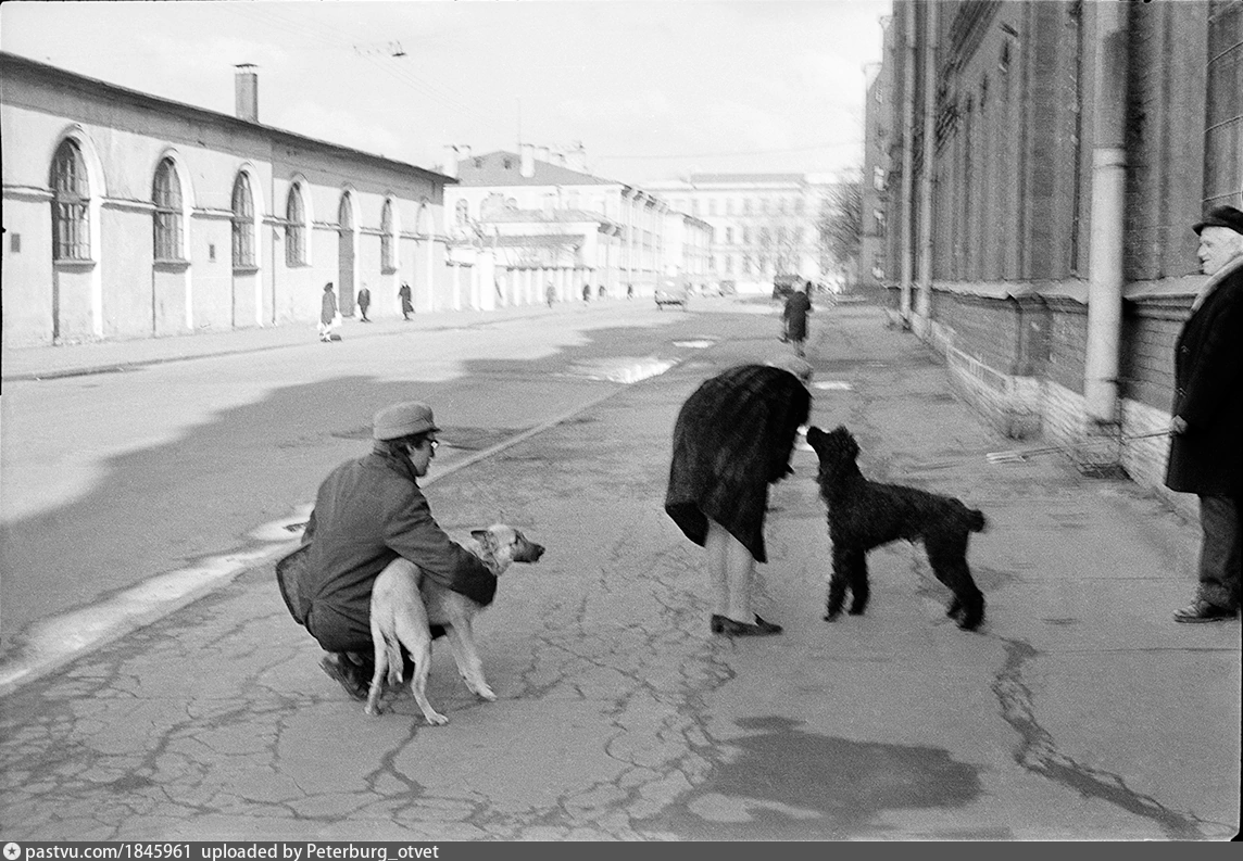 Ивашинцова Маша Фотографии