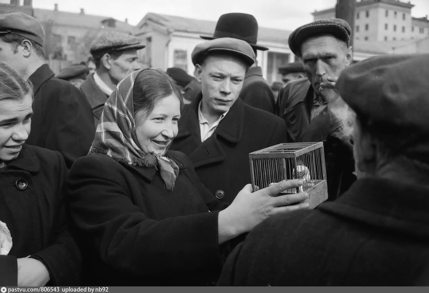 Начало 50. Старый Калитниковский рынок в Москве. Птичий рынок Москва Калитниковская. Птичий Ранок Калитниковская. Птичий рынок СССР.