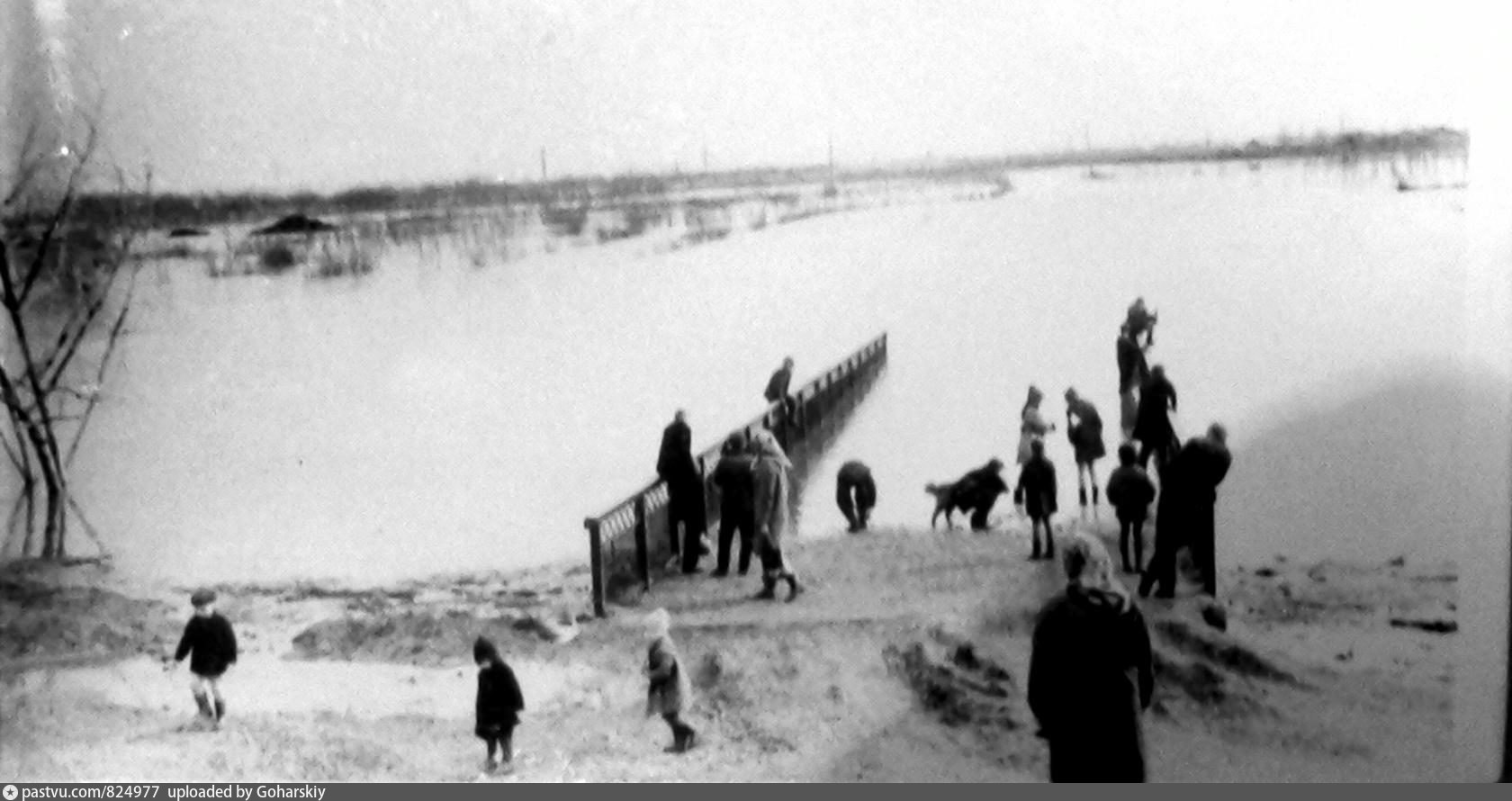 Разлив реки ишим в 2024 году. Тобол Курган. Курган Тобол пляжи 1930-е годы. Тобол кадры. Фото Ишим река разлив.