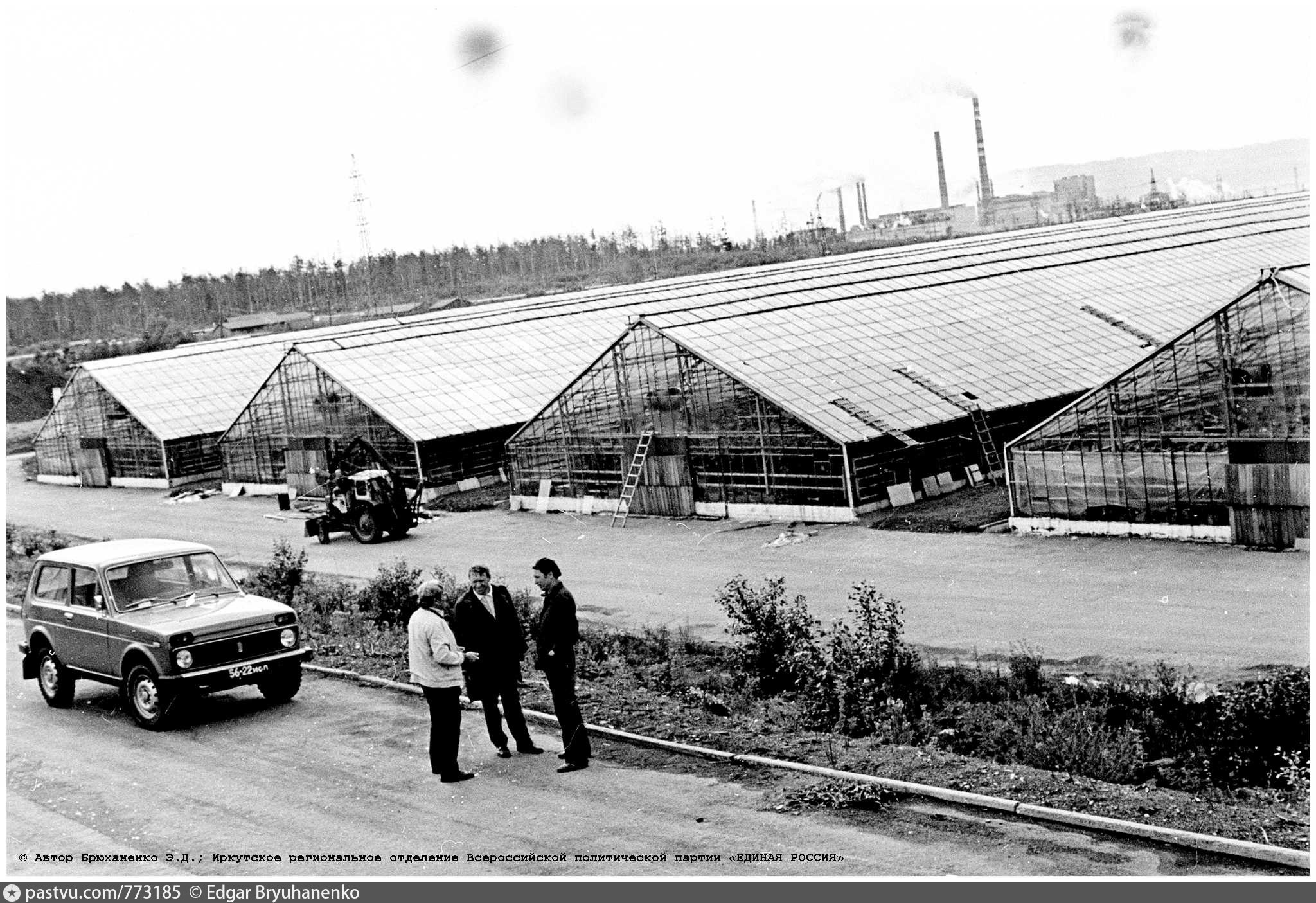 Пурсей братск фото