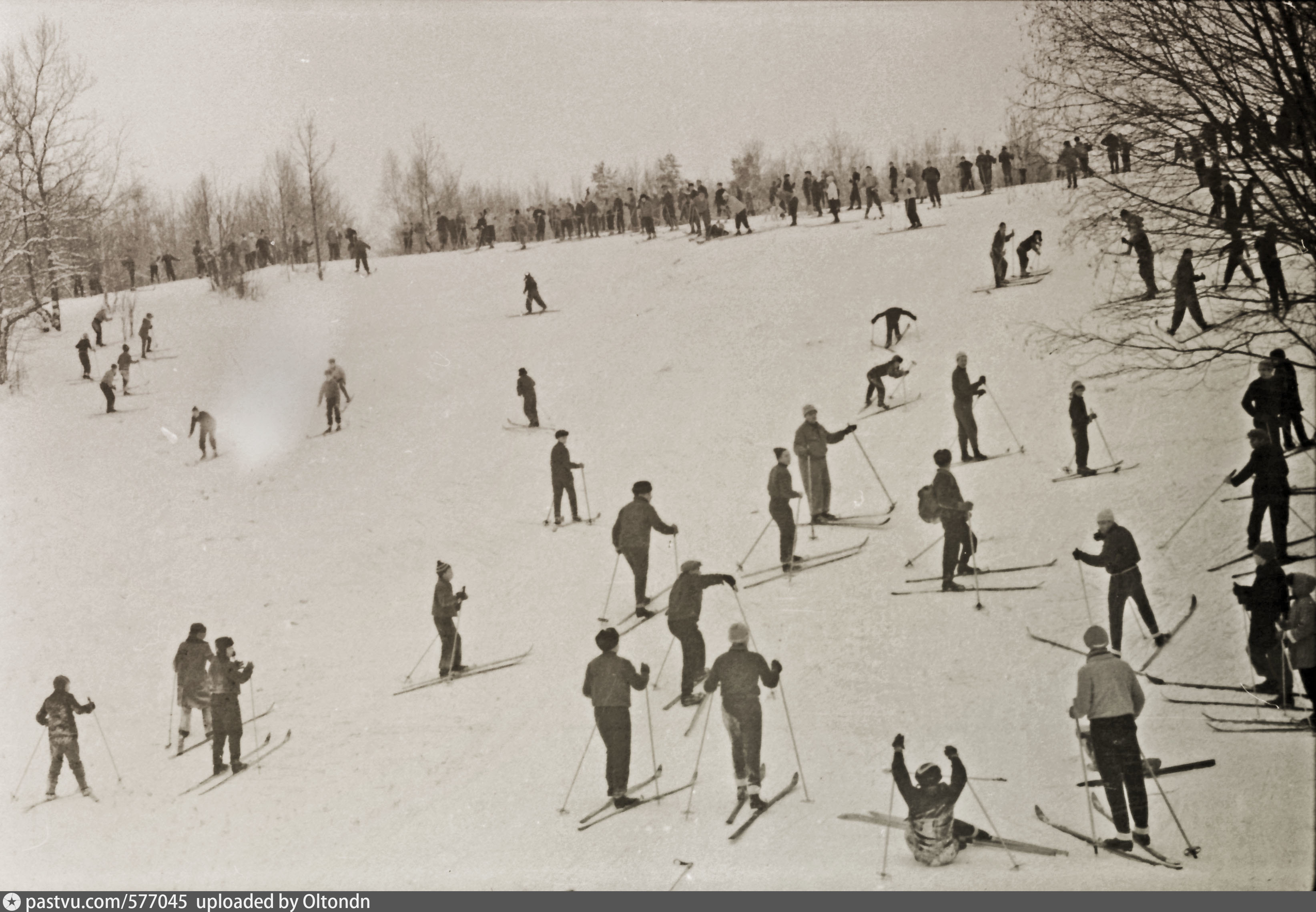 московский клуб лыжников 1895