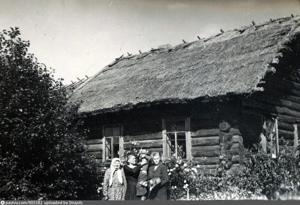 Себежская волость. Псковская обл., Себежский р-н, дер. Мацково. Деревня Мацково , Себежский р-н, Псковская обл.. Гришмановский Себеж. Мацково Себежский р-н дер Псковская обл фото сейчас.