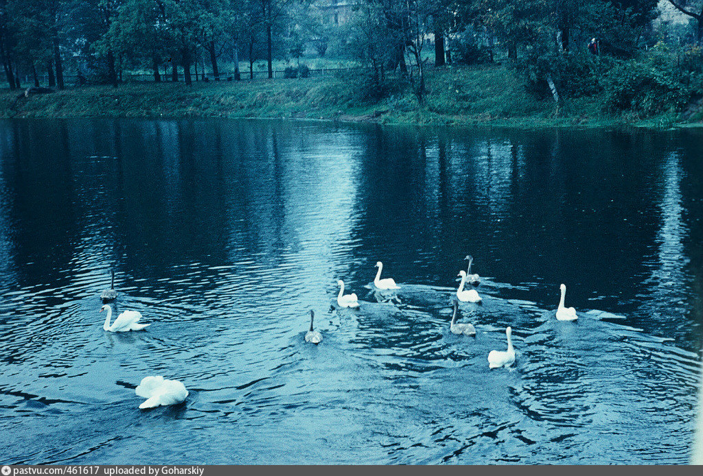 Советск озеро. Озеро в Советске Калининградская область. Озеро советское Калининград. Ивано-Франковск, городское озеро, 1980.