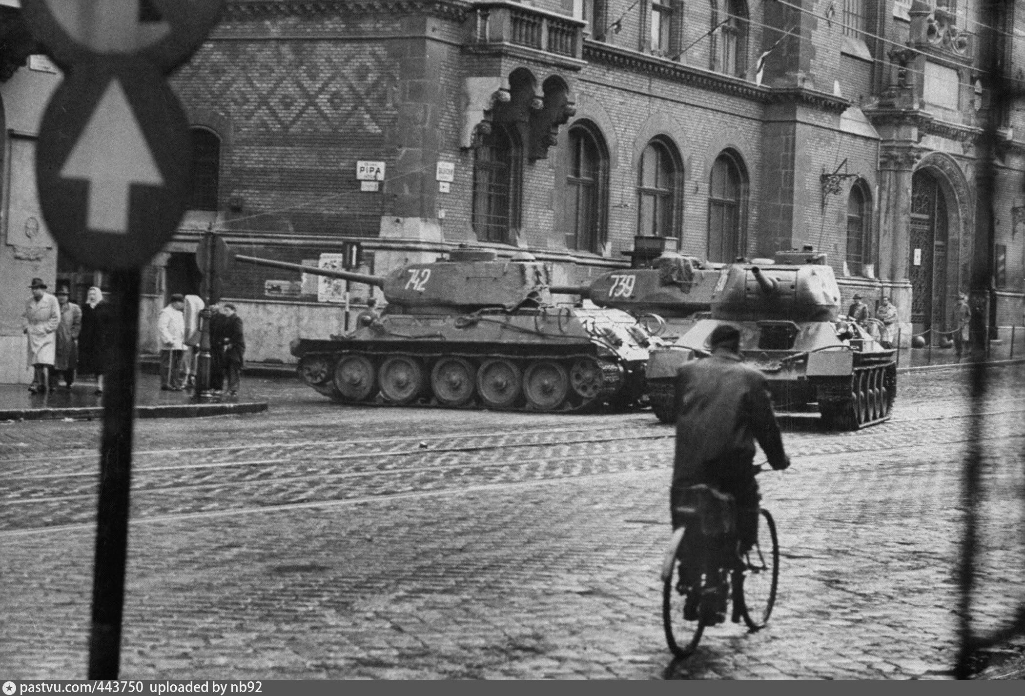 1956 год в истории. Венгерское восстание 1956. Венгерское восстание 1956 года.