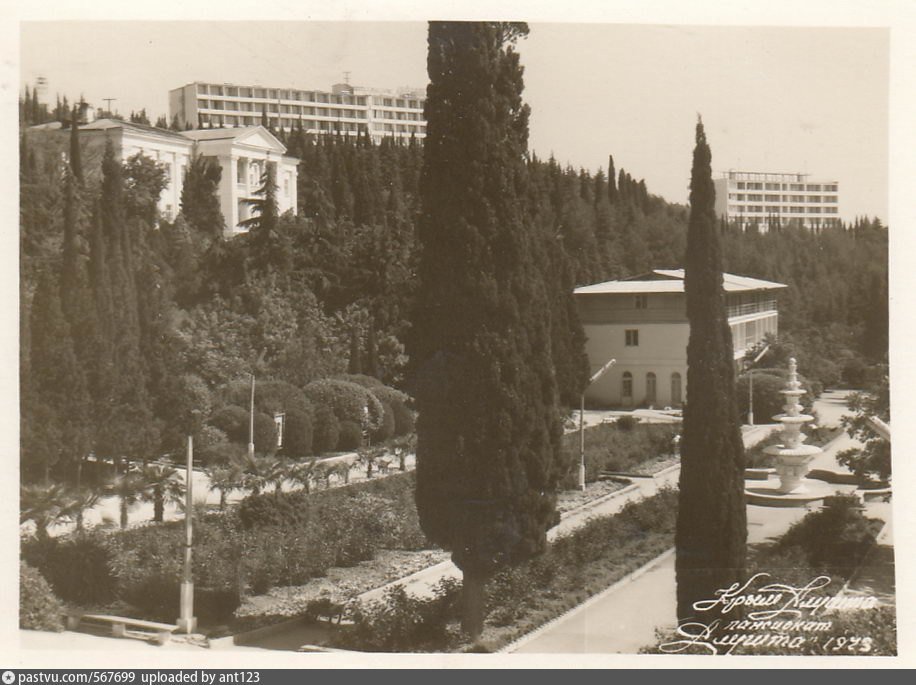 Алушта санаторий алушта фотографии