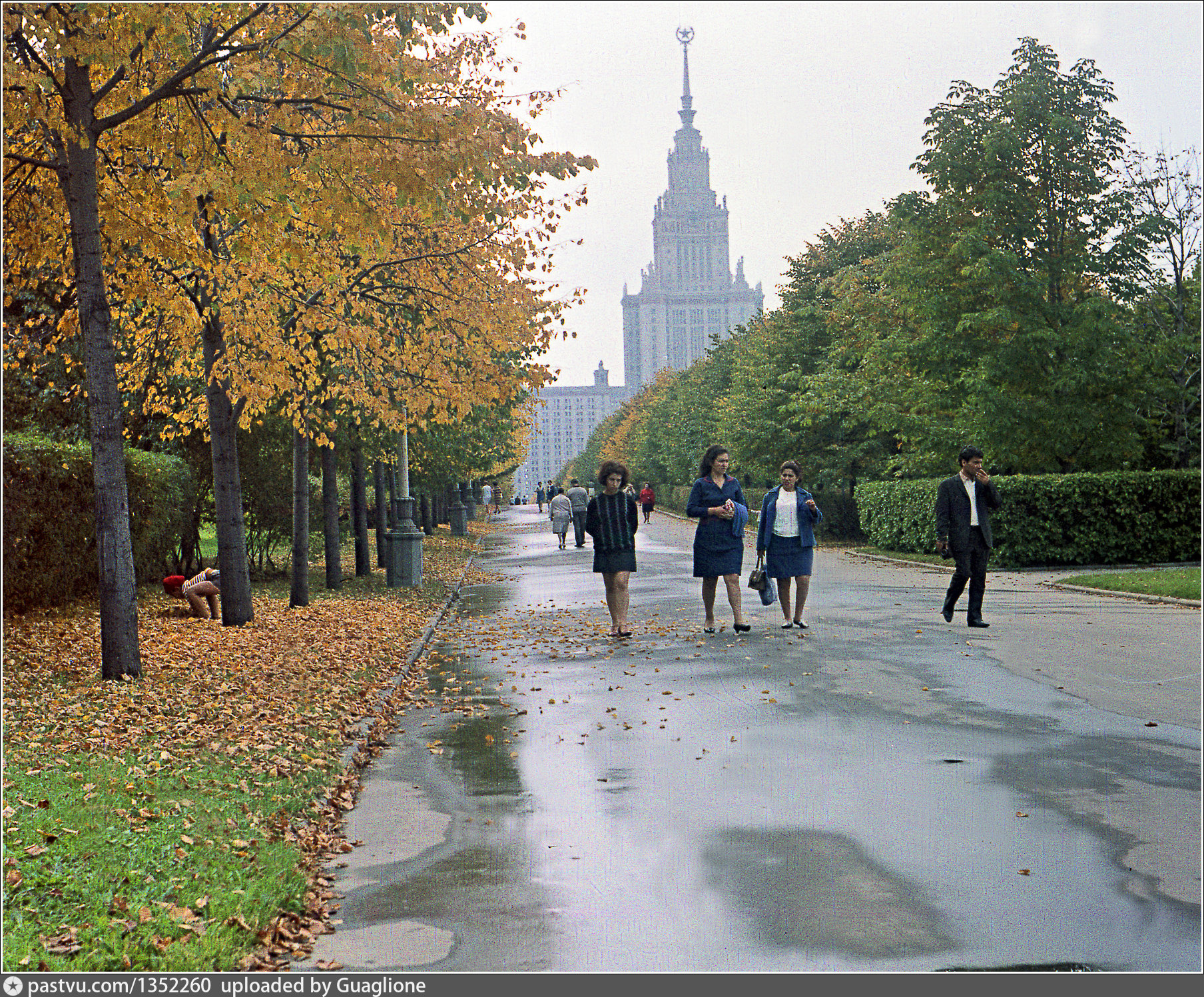 Ленинские горы. Ленинские горы 1970. Москва Раменки Ленинские горы. Осень СССР.