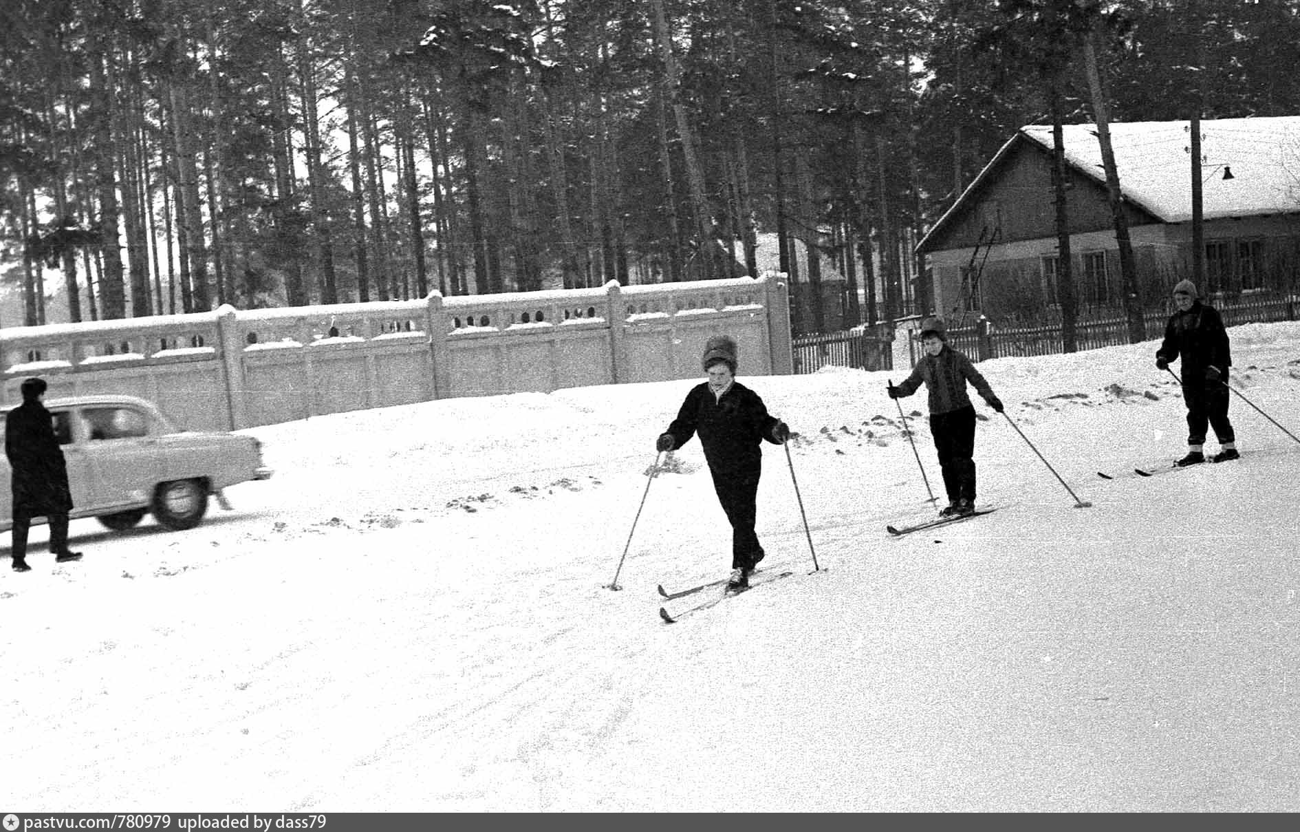 Ретро лесной. Фото Жуковского 1964 года.