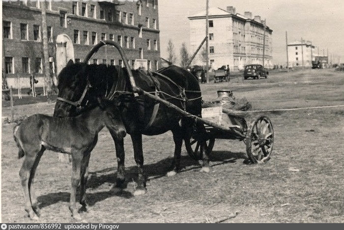 какова жизнь в белоруссии