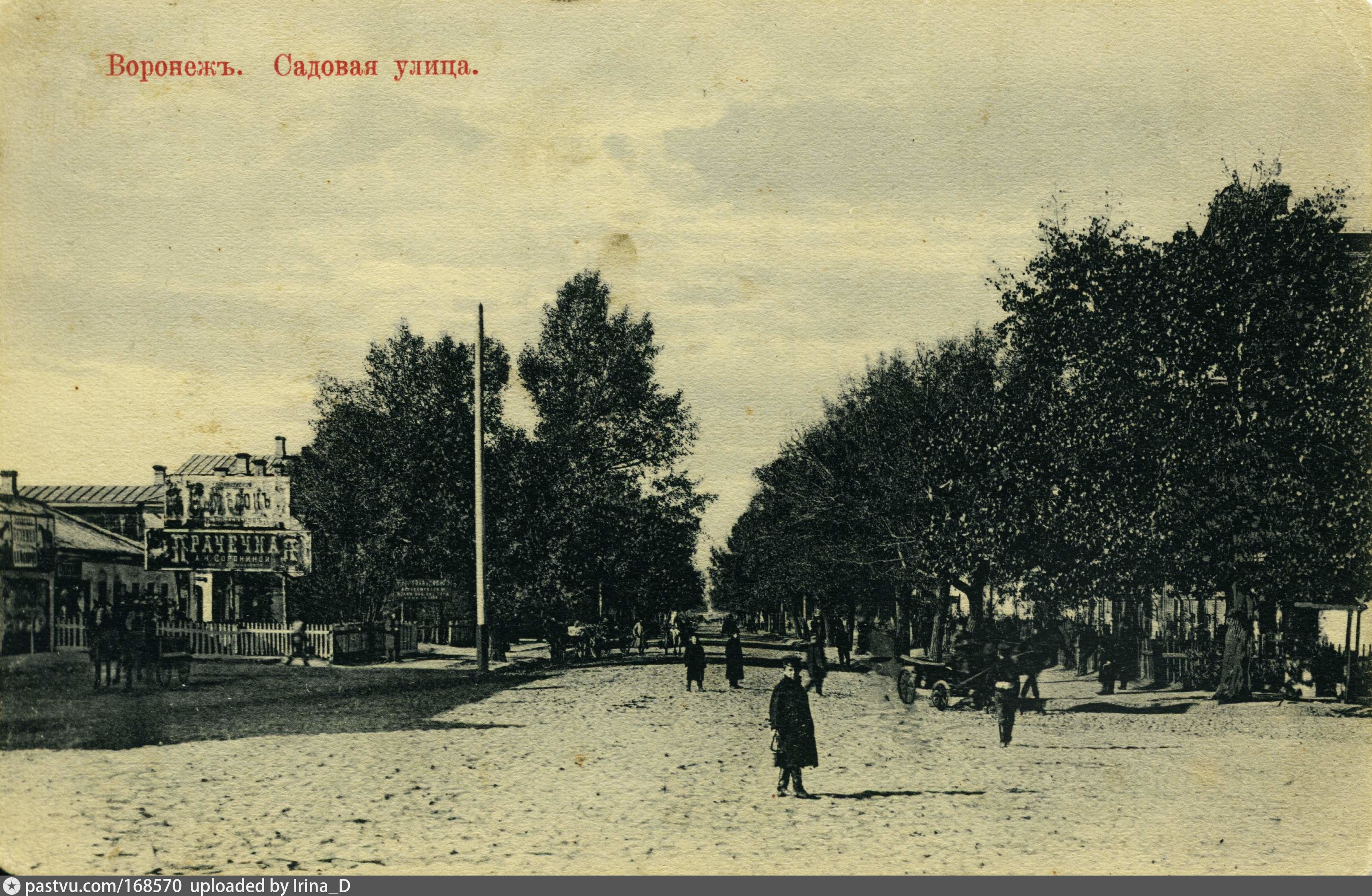 Первомайский сад Воронеж 19 век