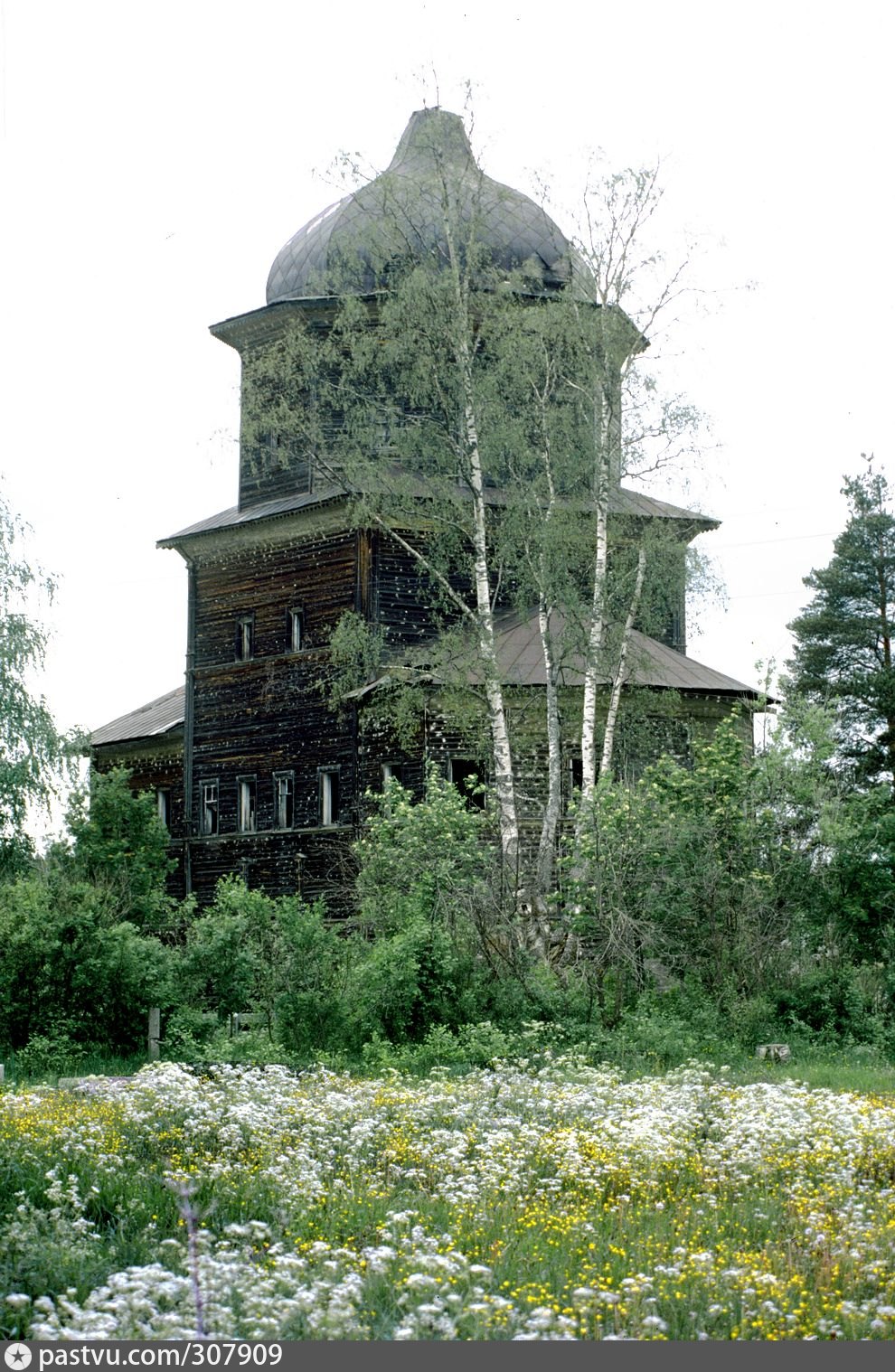 Село русская борковка фото