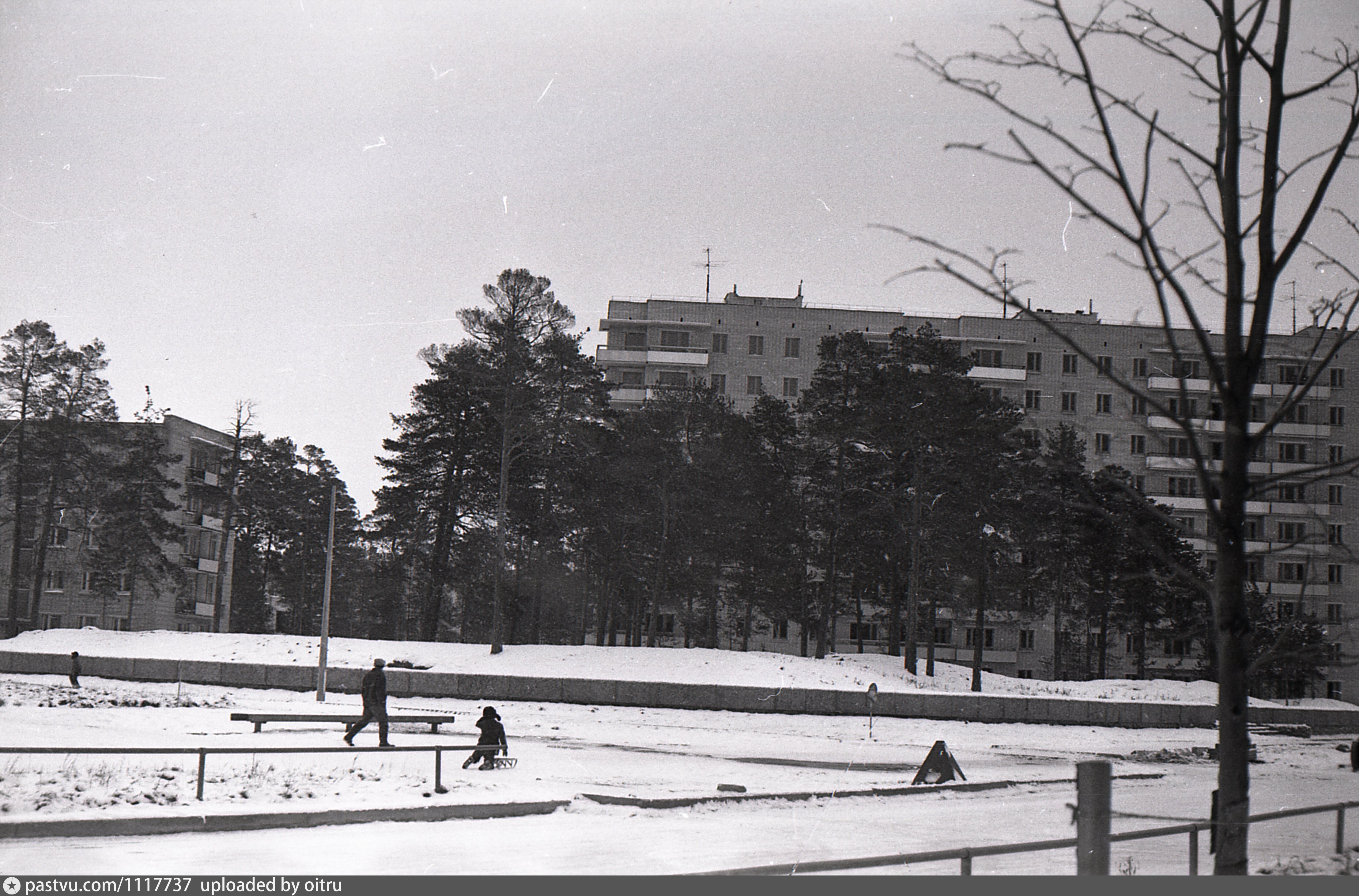 Весь сосновый бор. 1980г. Г. Сосновый Бор. Ленинградская обл. Фото парка Сосновый Бор 1980г. Кирсанов город 1979 года. Сосновый Бор фабрика 1 мая старые фото.