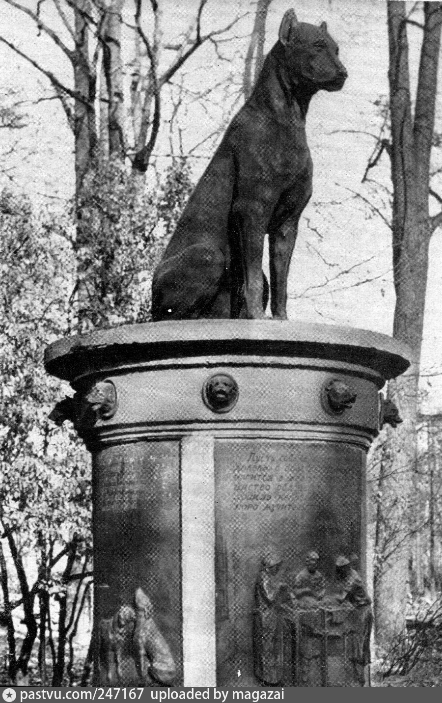 Памятник собаке Павлова в Санкт-Петербурге