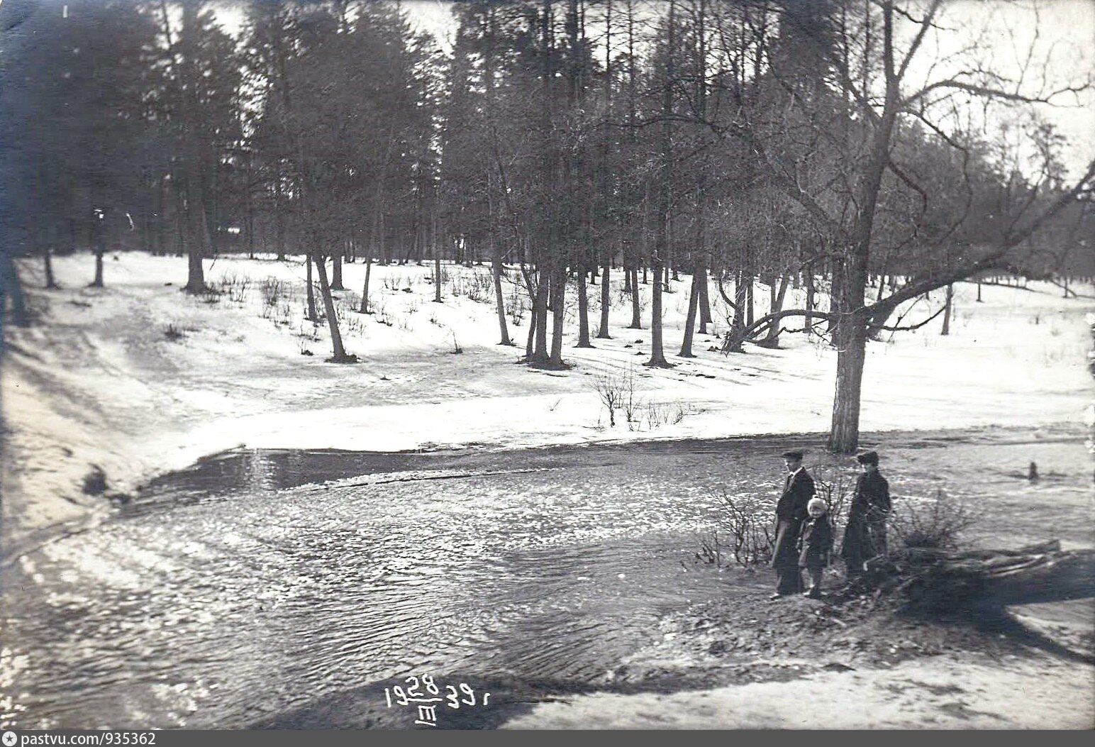 Салтыковка старые фото