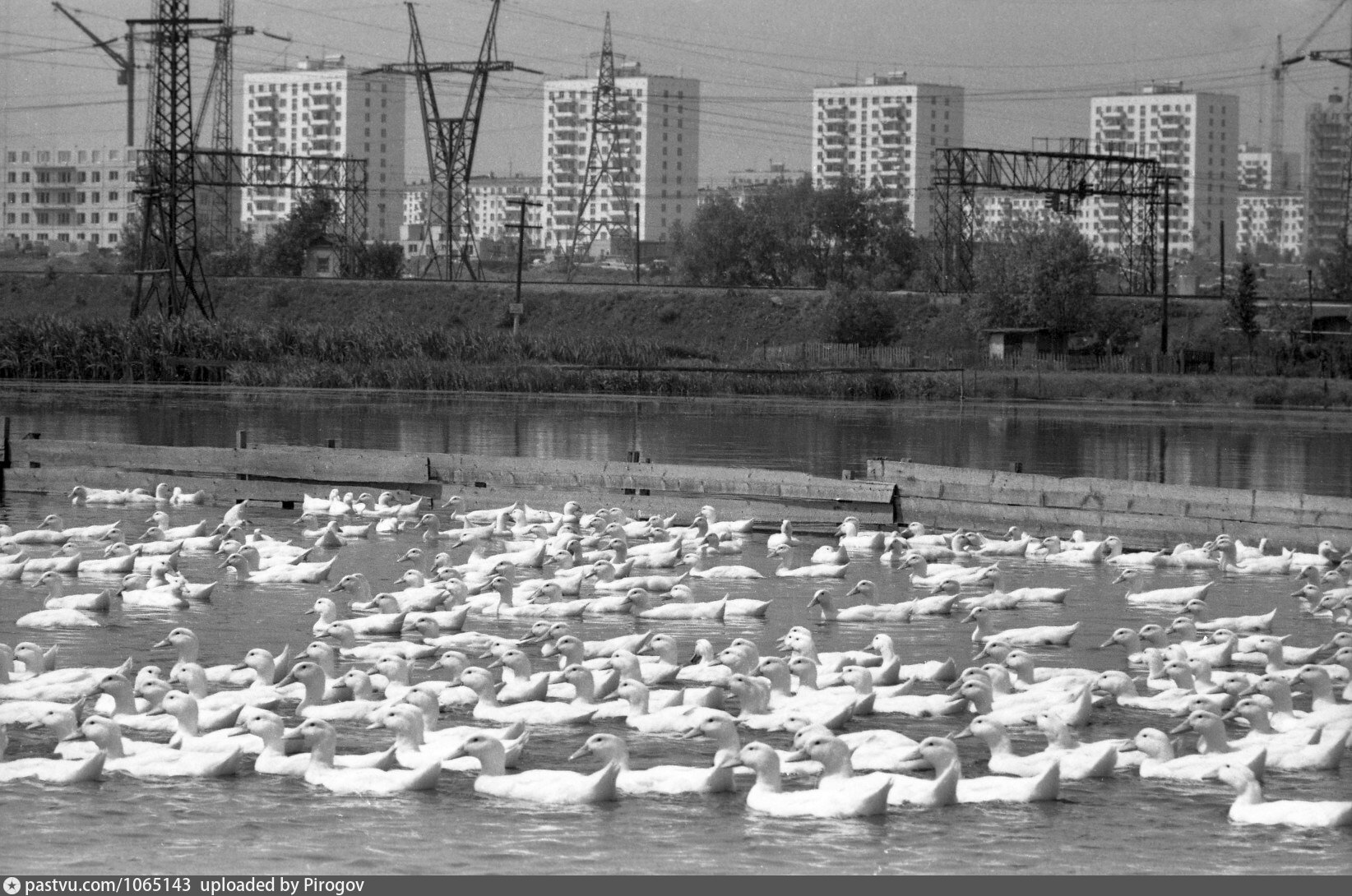 ленино дачное москва