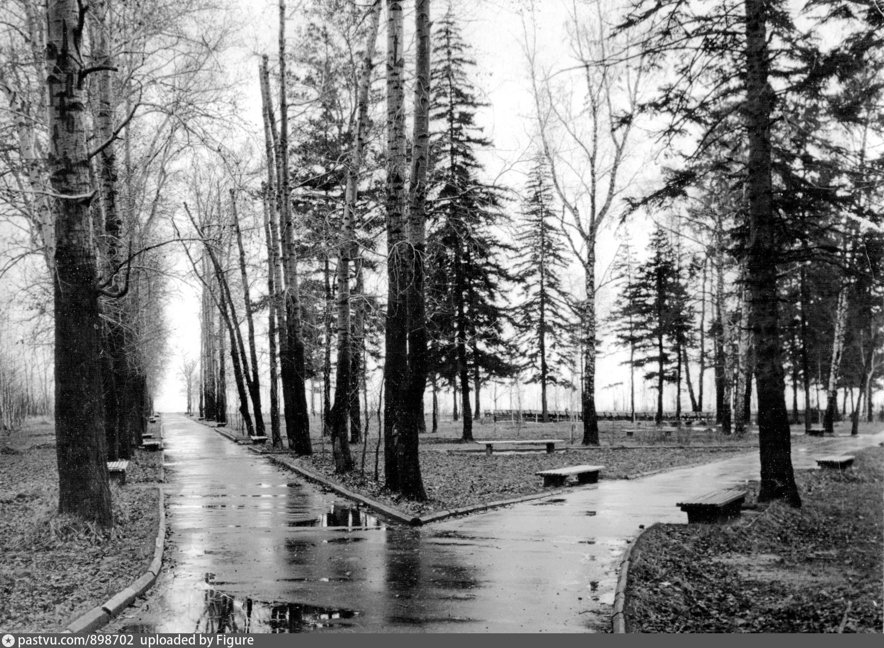 Лагерный сад Томск 1960 год