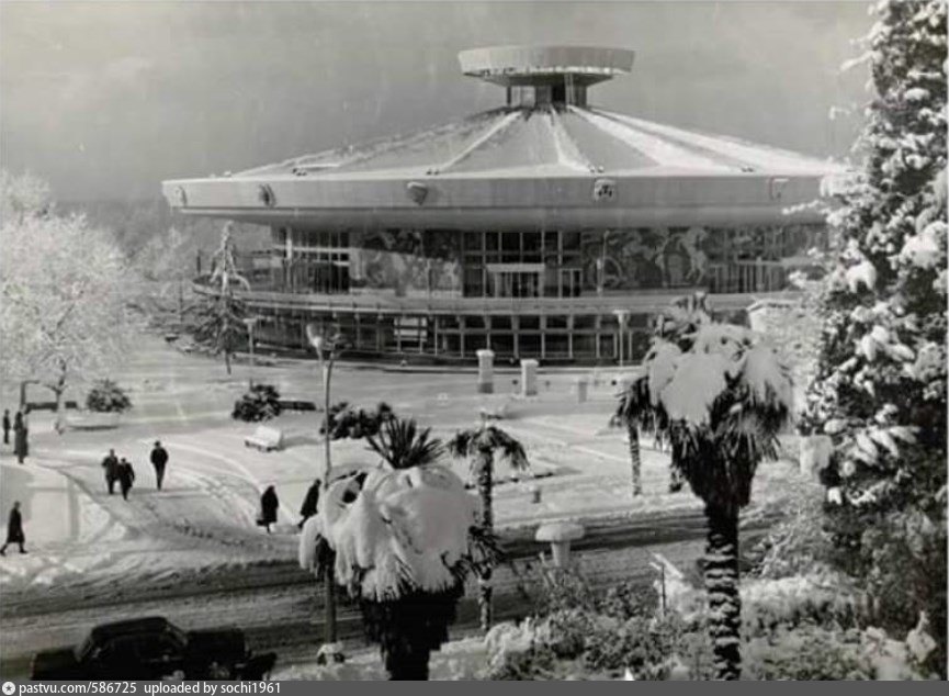 Сочинский цирк фото. Цирк в Сочи в 1955 году. Набережная цирк Сочи.