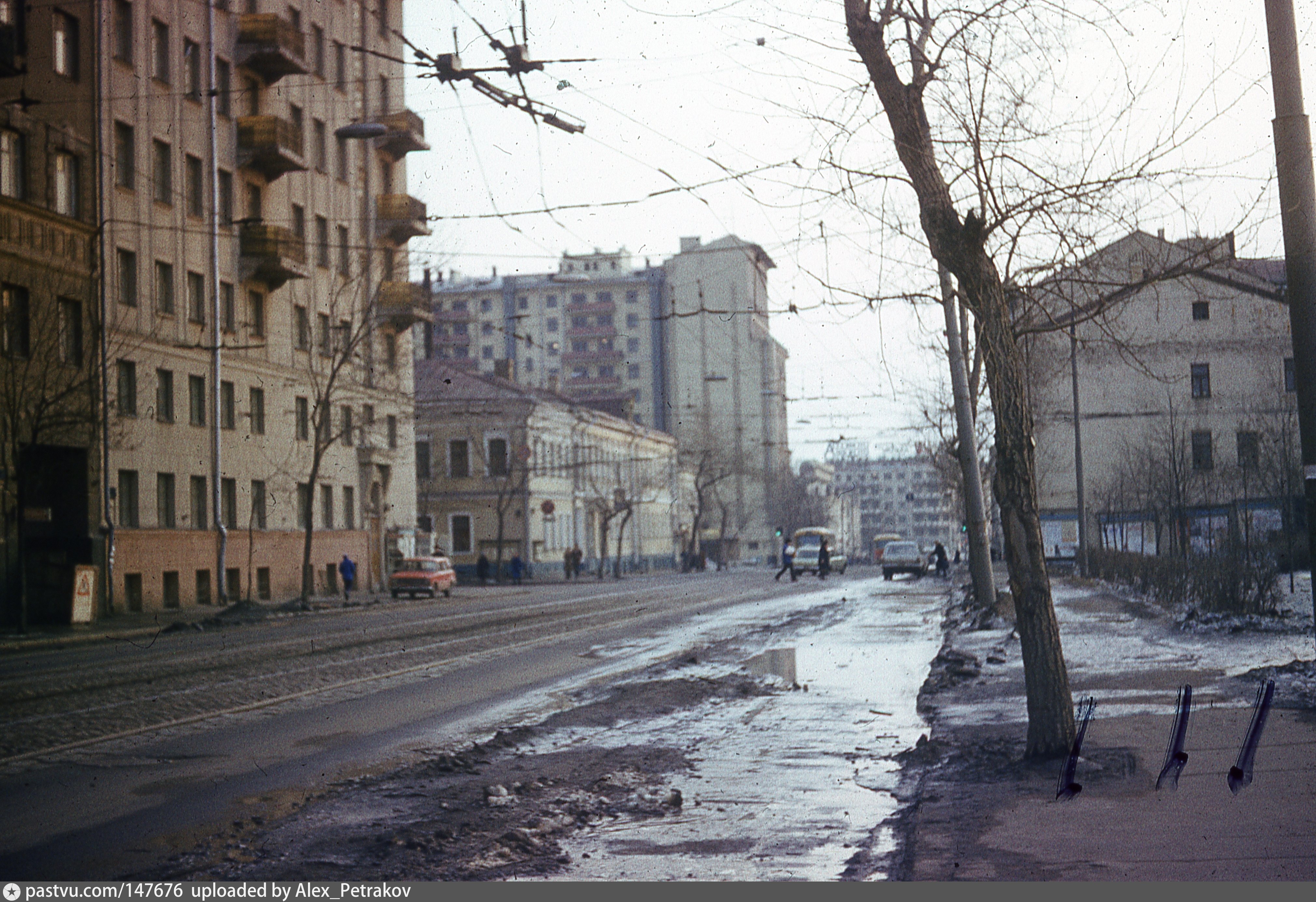 лесная улица в москве