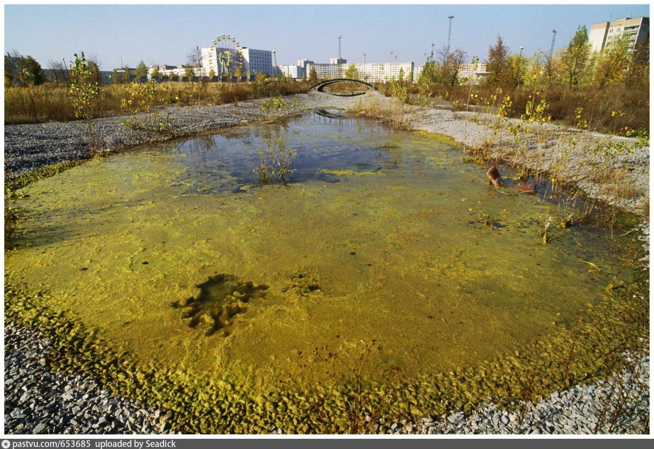 Реки радиации. Радиоактивный пруд Чернобыль. Радиоактивная озеро Припять. Река Припять загрязнение. Река Припять Чернобыль.
