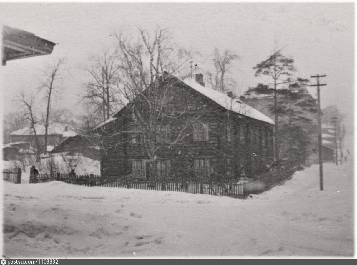 Почему нет деревьев на старых фотографиях