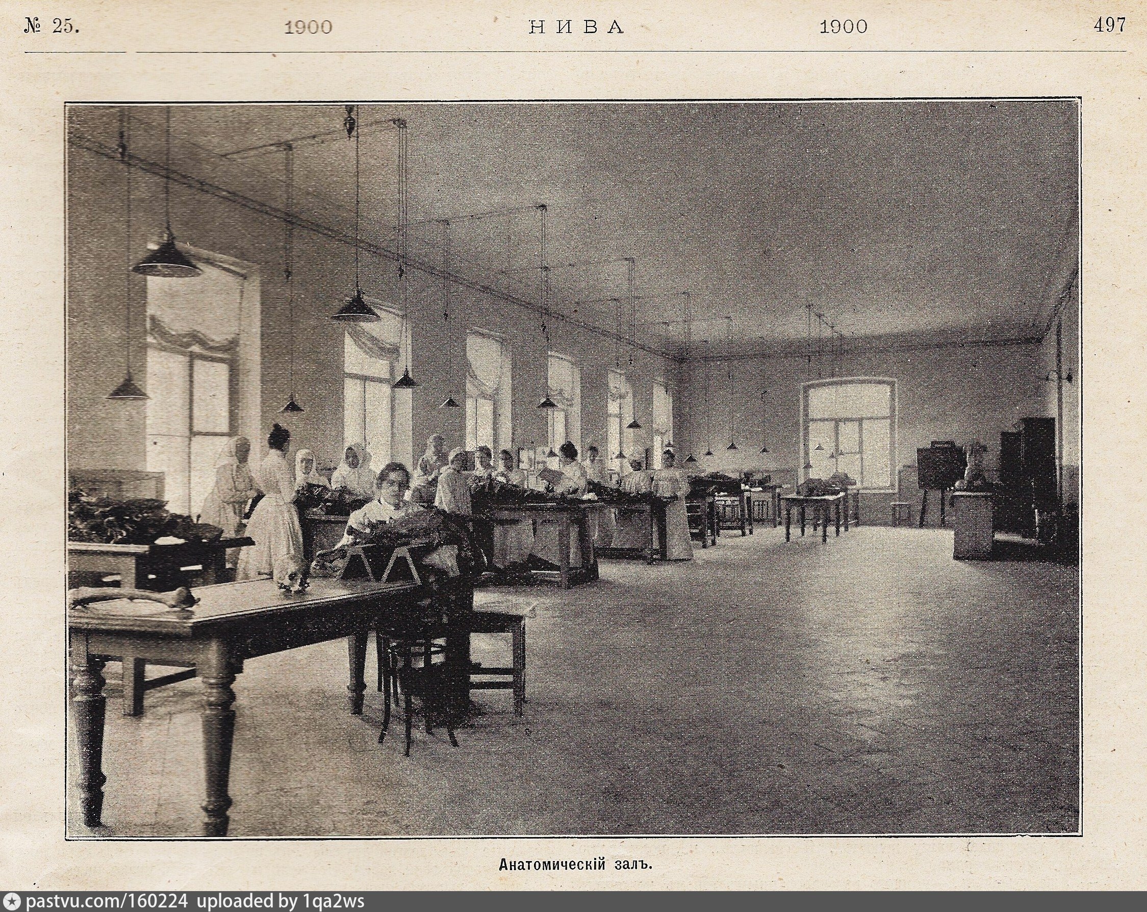 Первые государственные медицинские учреждения