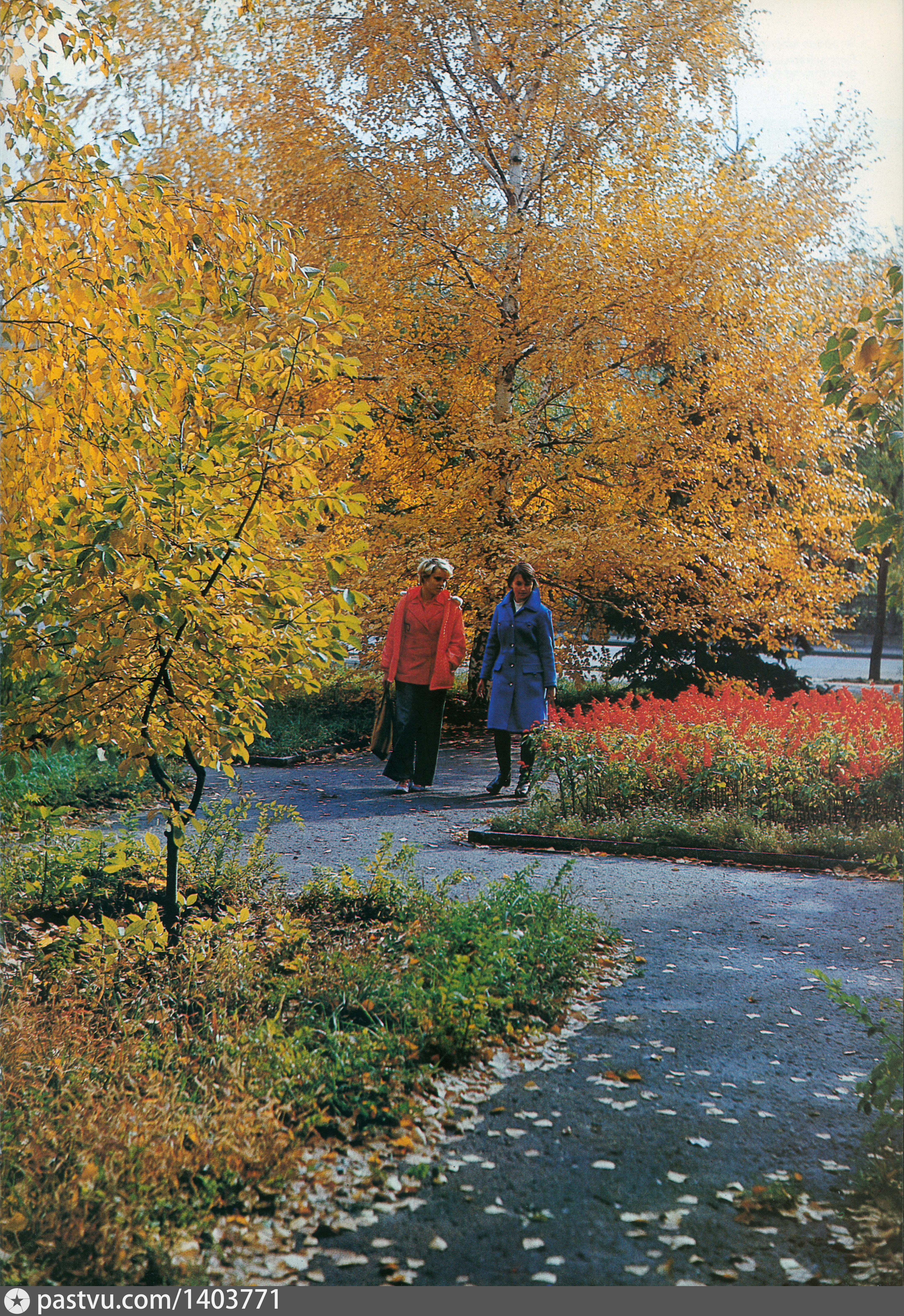 Осень в Волгограде фото