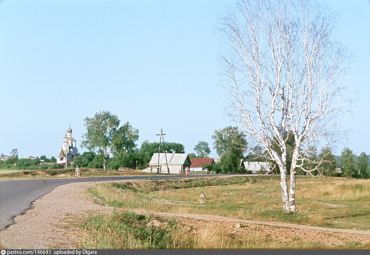 Участок бородиной фото