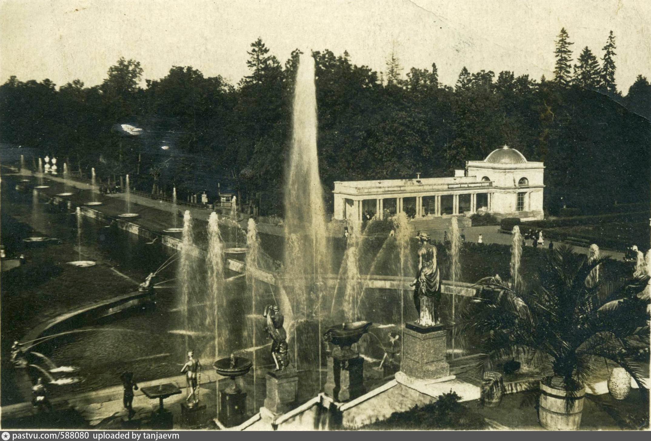 Старый петергоф. Петергоф 19 век. Нижний парк Петергоф 1916 год. Фонтан Самсон Петродворец 1945. Верхний парк Петергоф 19 век.