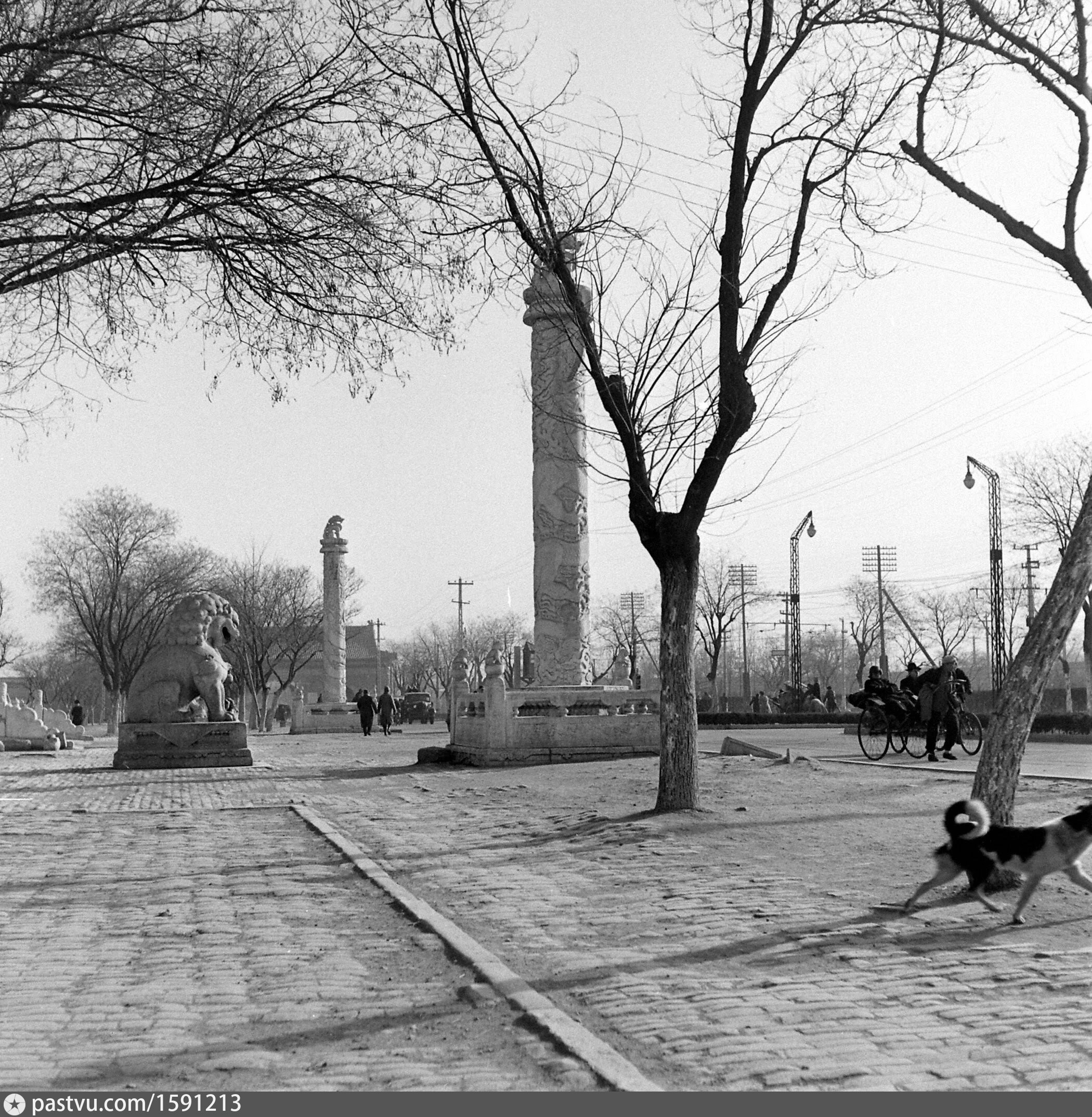 中央路 Улица Чжунъянлу