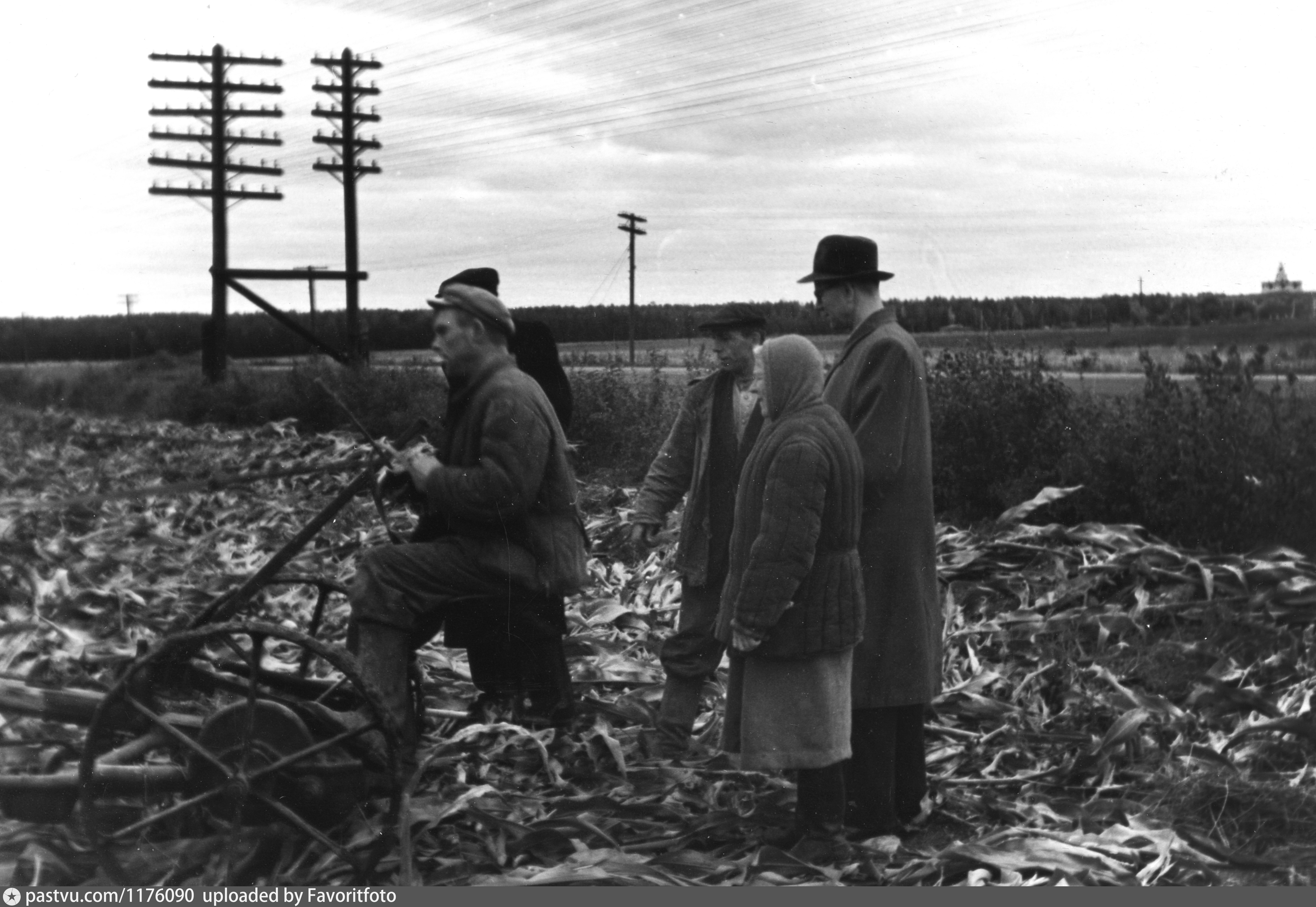 Совхоз год. Совхоз 1 мая Балашиха. Клинцы Совхоз 1 мая. Совхозе 1 мая ретро. Комов Совхоз 1 мая.