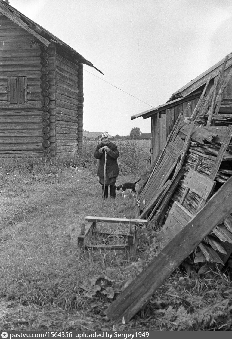 Увидите деревню. Деревня видим. Старое фото вдали видно деревню. Иосиф Иванович в деревне Коровино. Деревня Коровино Москва старые фото.