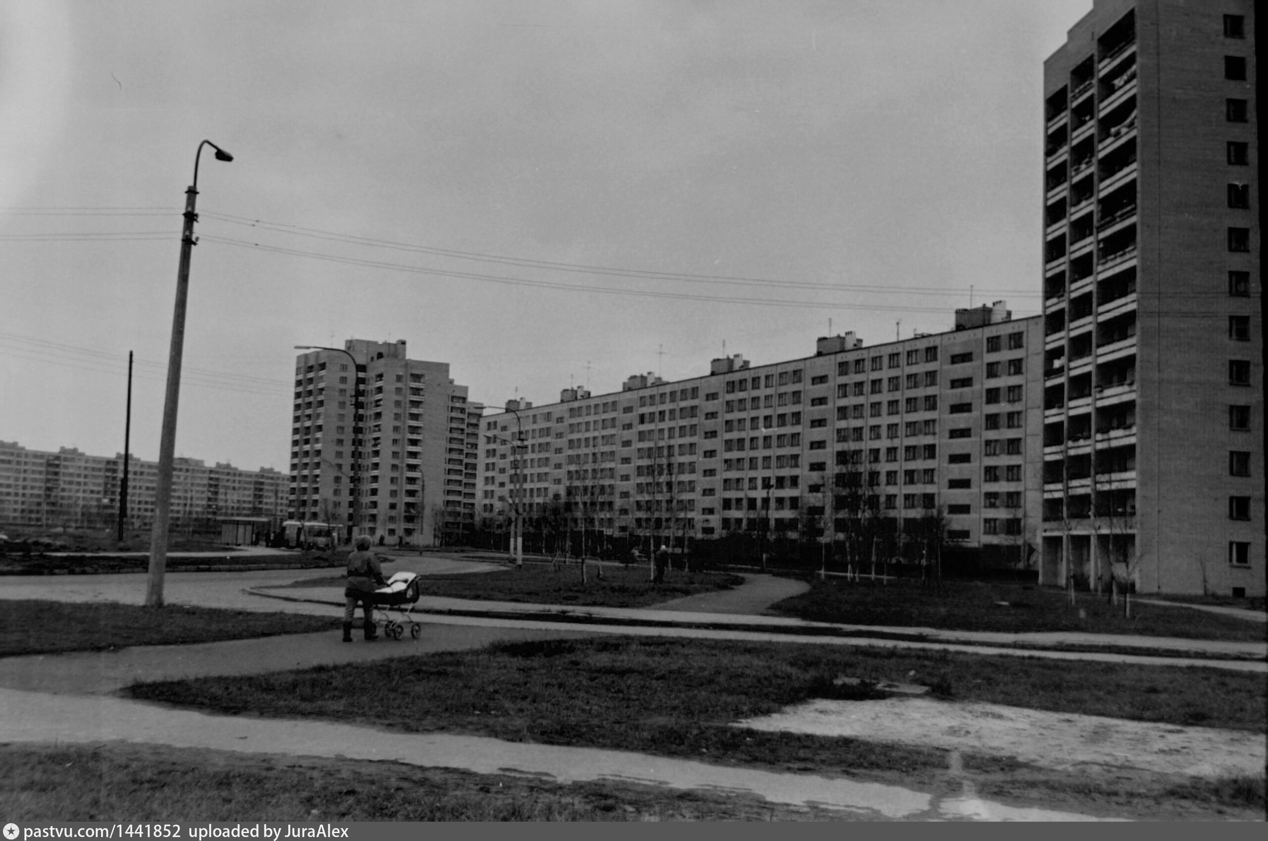 Колпино бульвар трудящихся 29. Бульвар трудящихся 23. Колпино бульвар трудящихся старые фото. Нижний Новгород бульвар трудящихся.