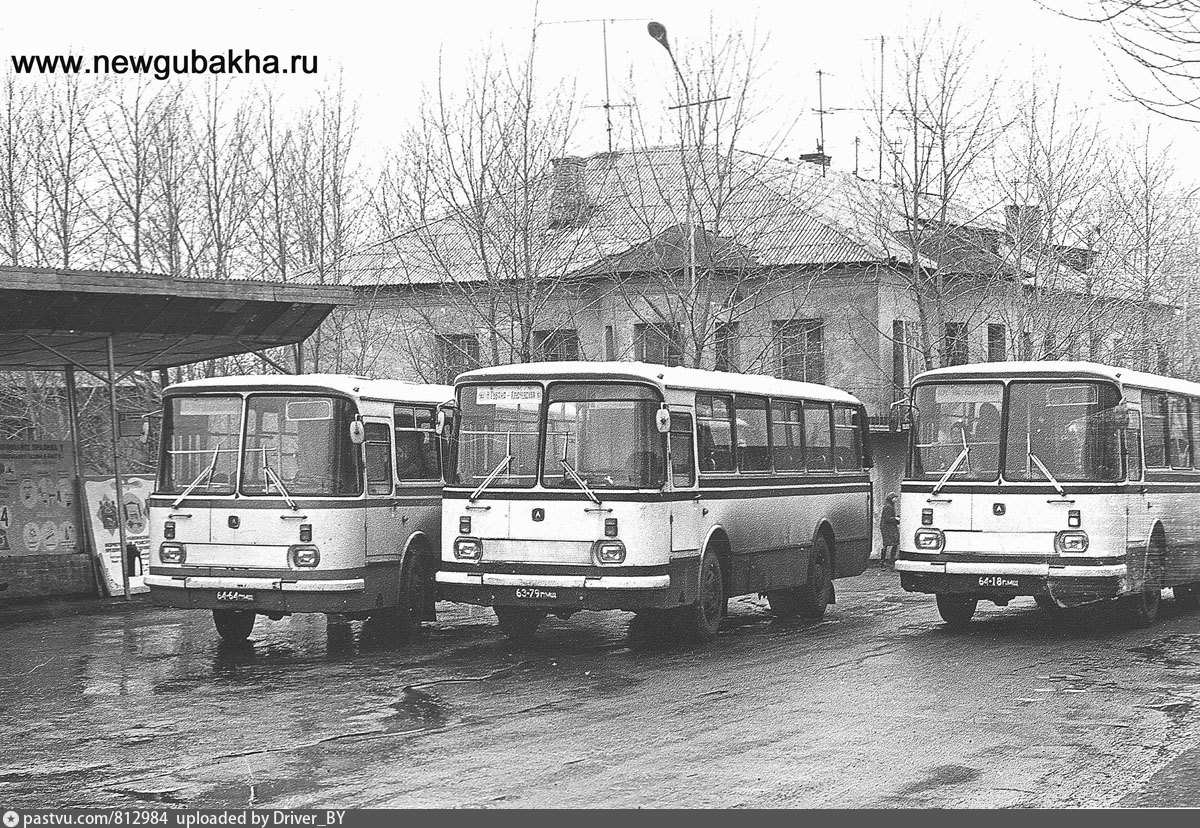 Пермь автовокзал автобусов. ЛАЗ 695 Пермь. Губаха Старая автостанция. Старая Губаха автотранспортное предприятие. Автостанция СССР.