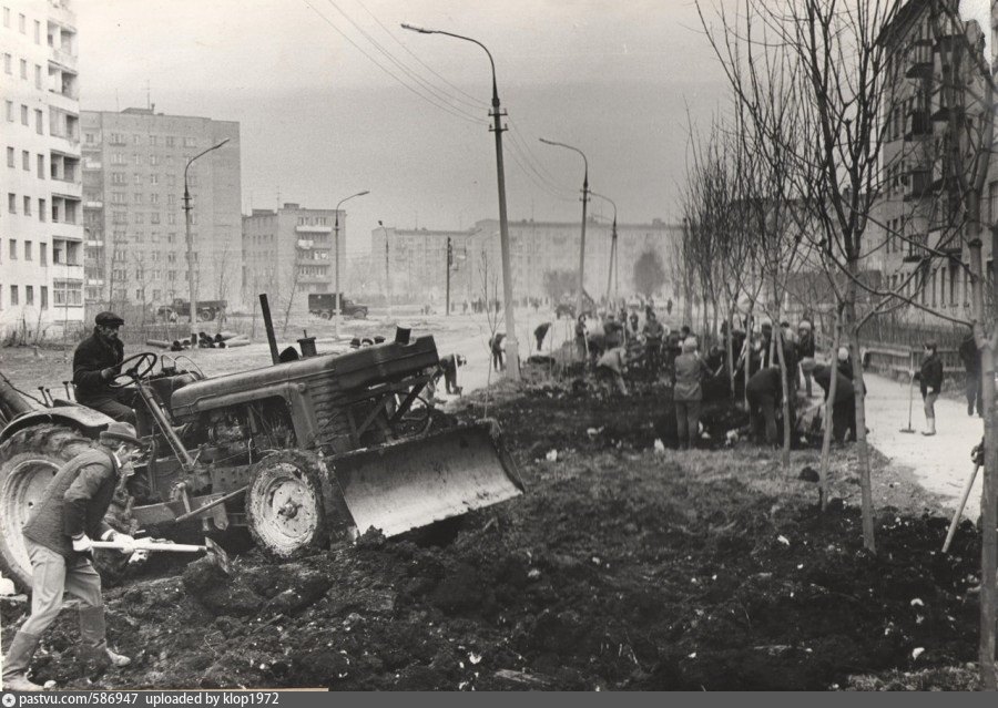 1977 Улица. Поле во Фрязино. Ретро Фрязино. Инфо Фрязино фото из СССР улица Полевая.