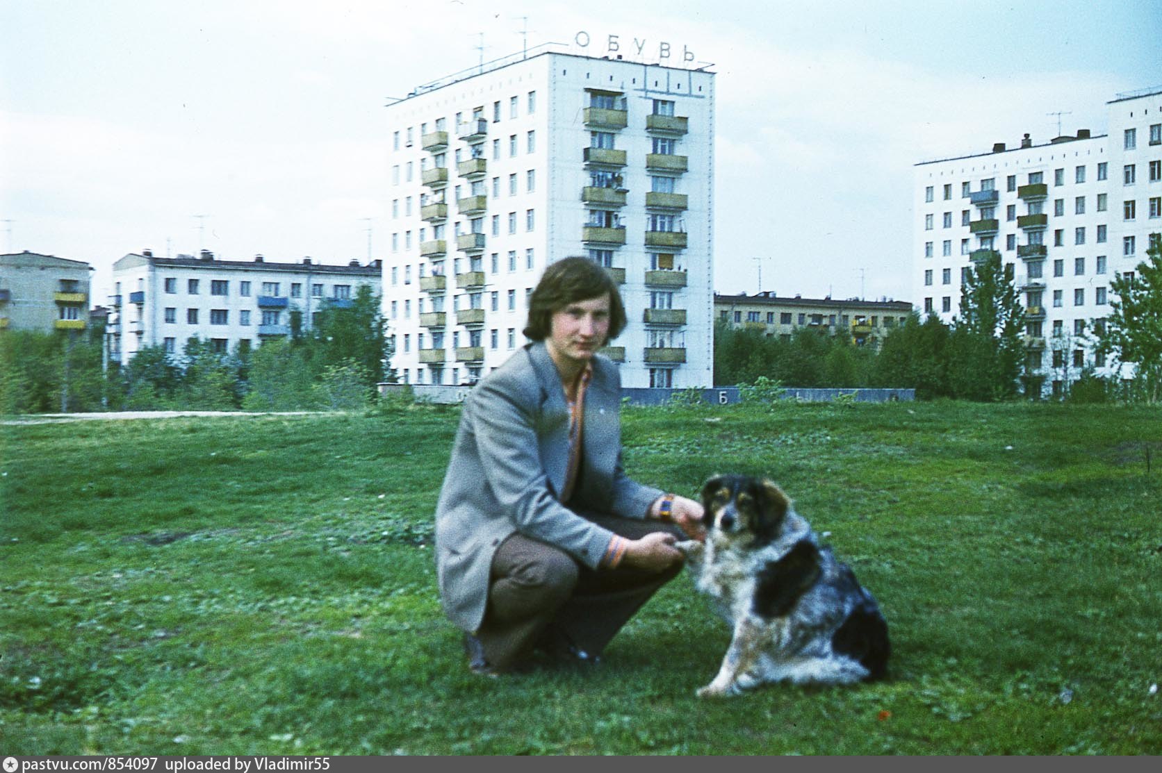 школа 381 москва богородское