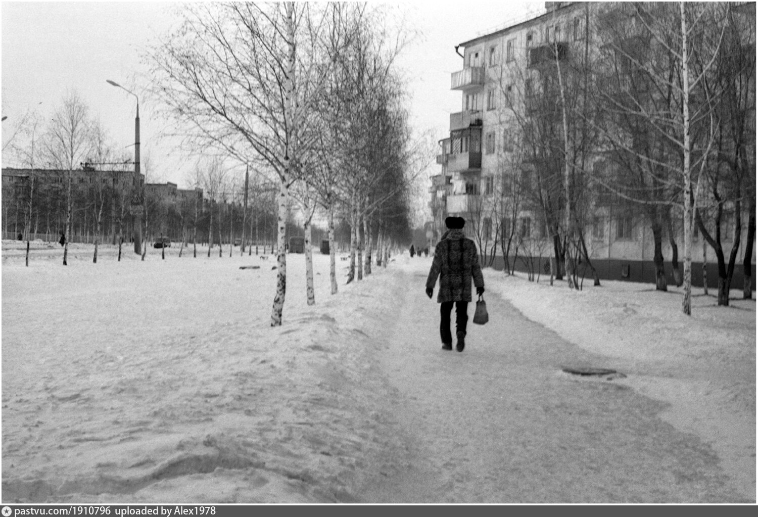 Бульвар 50 лет октября 7. Ретро Тольятти. Тюмень цветной бульвар 50 лет назад. Фото ретро Тольятти 11 квартал.