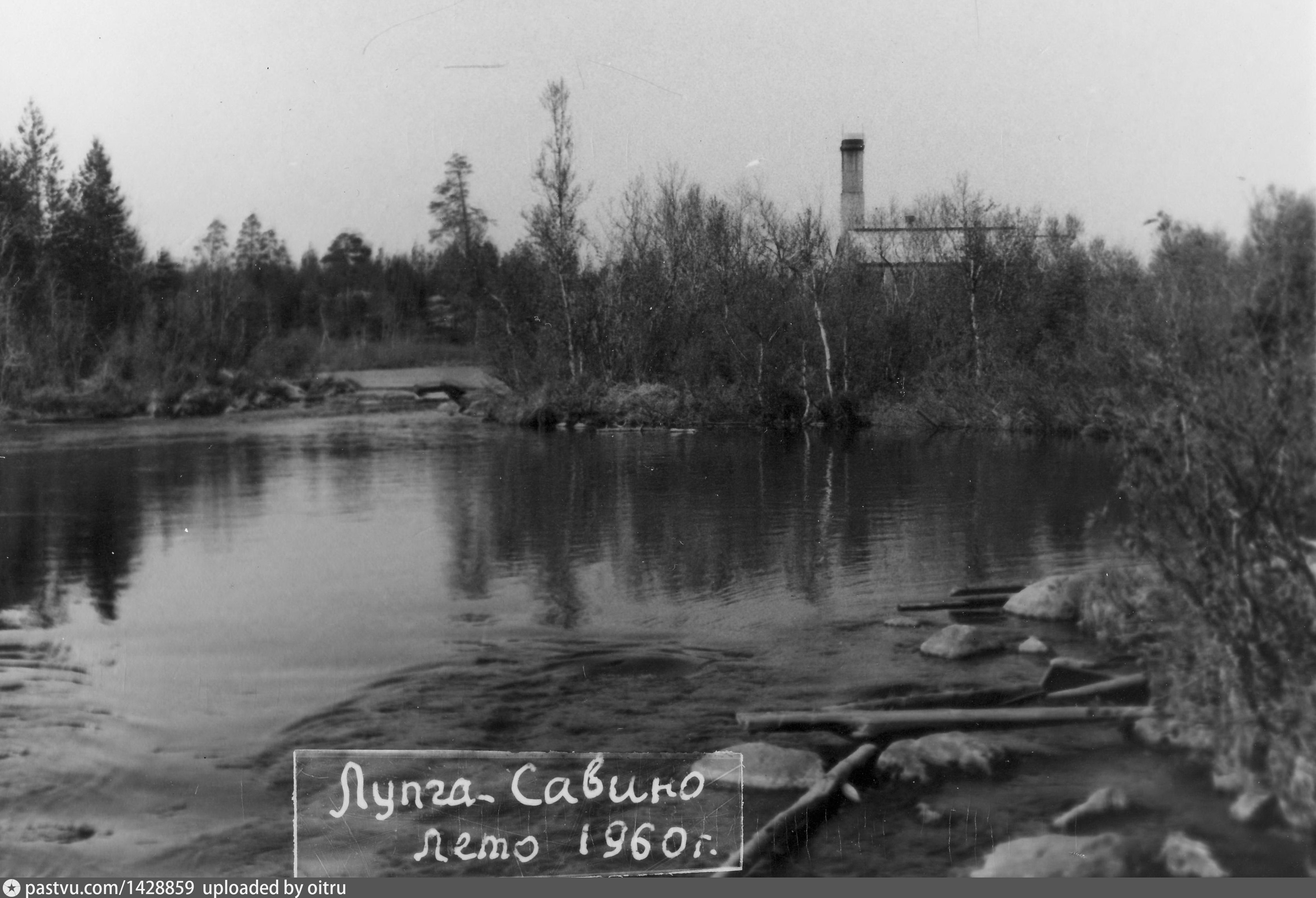 лупче савино 1 фотографии