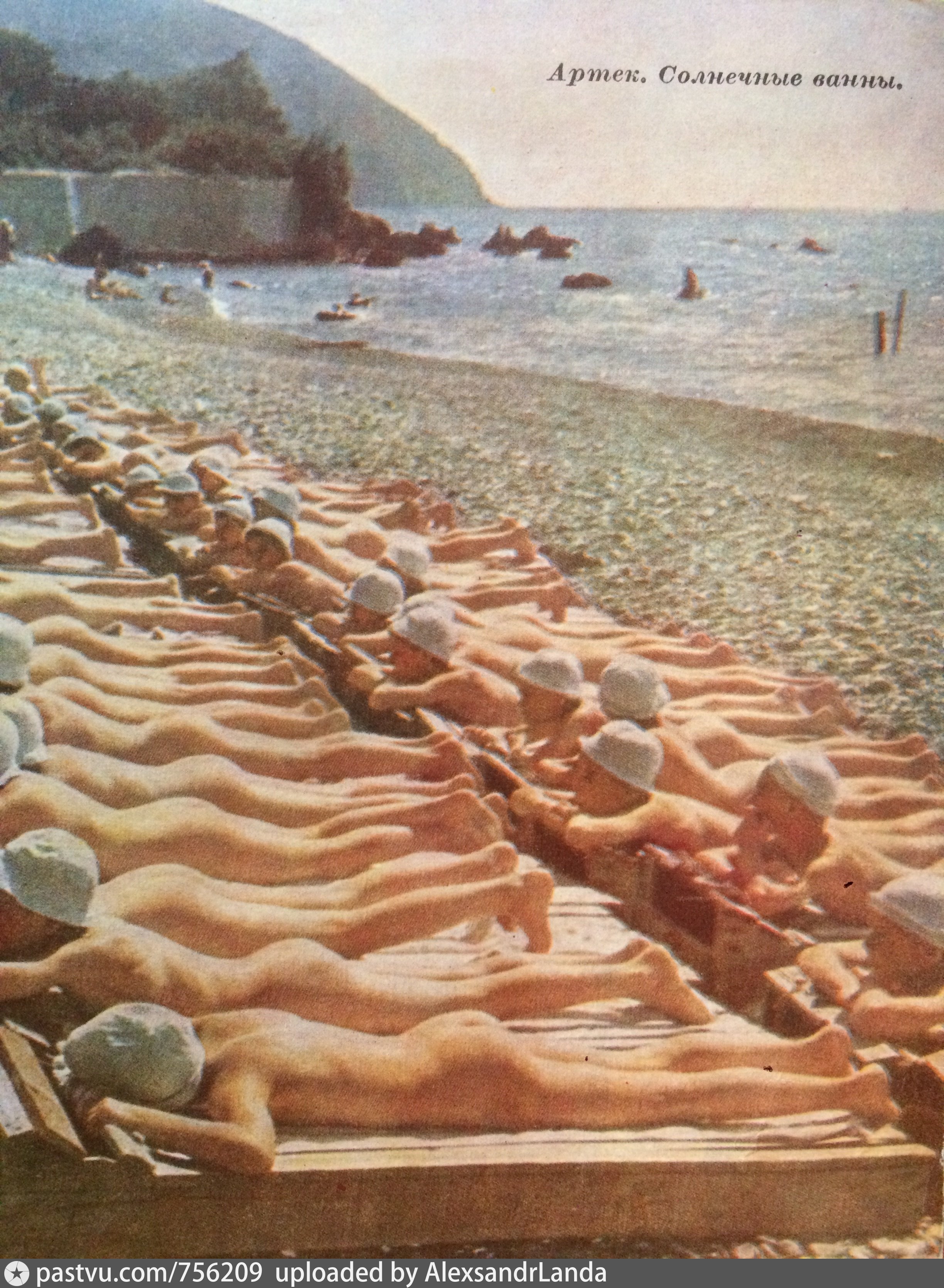 Голый артек