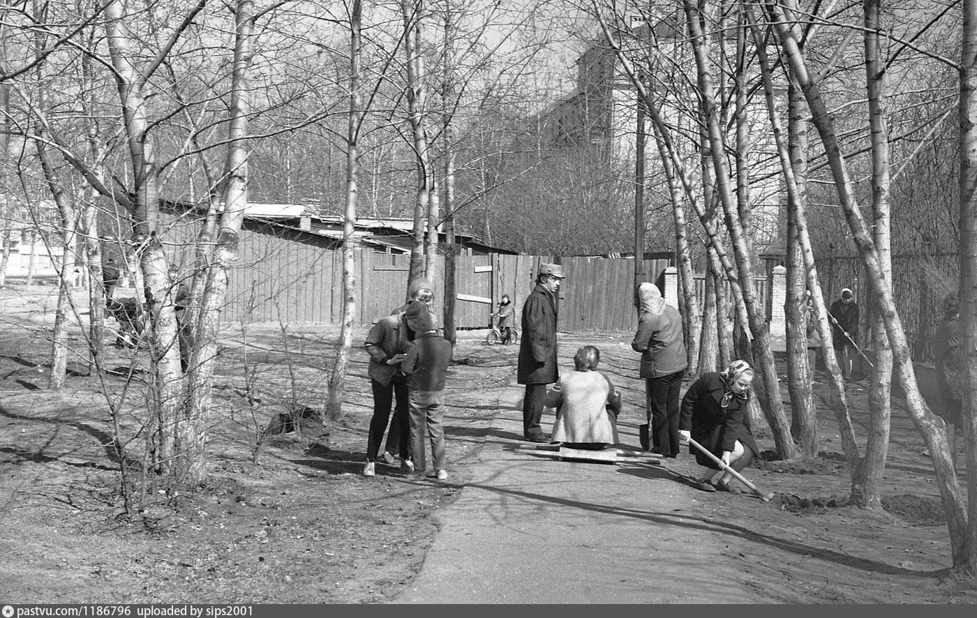 москва школа 1974