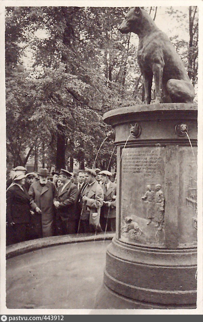 Собаки павлово. Памятник собаке Академика Павлова. Павлов Иван Петрович собака Павлова памятник. Павлов Иван Петрович памятник собаке. Улица Академика Павлова памятник собаке Павлова.