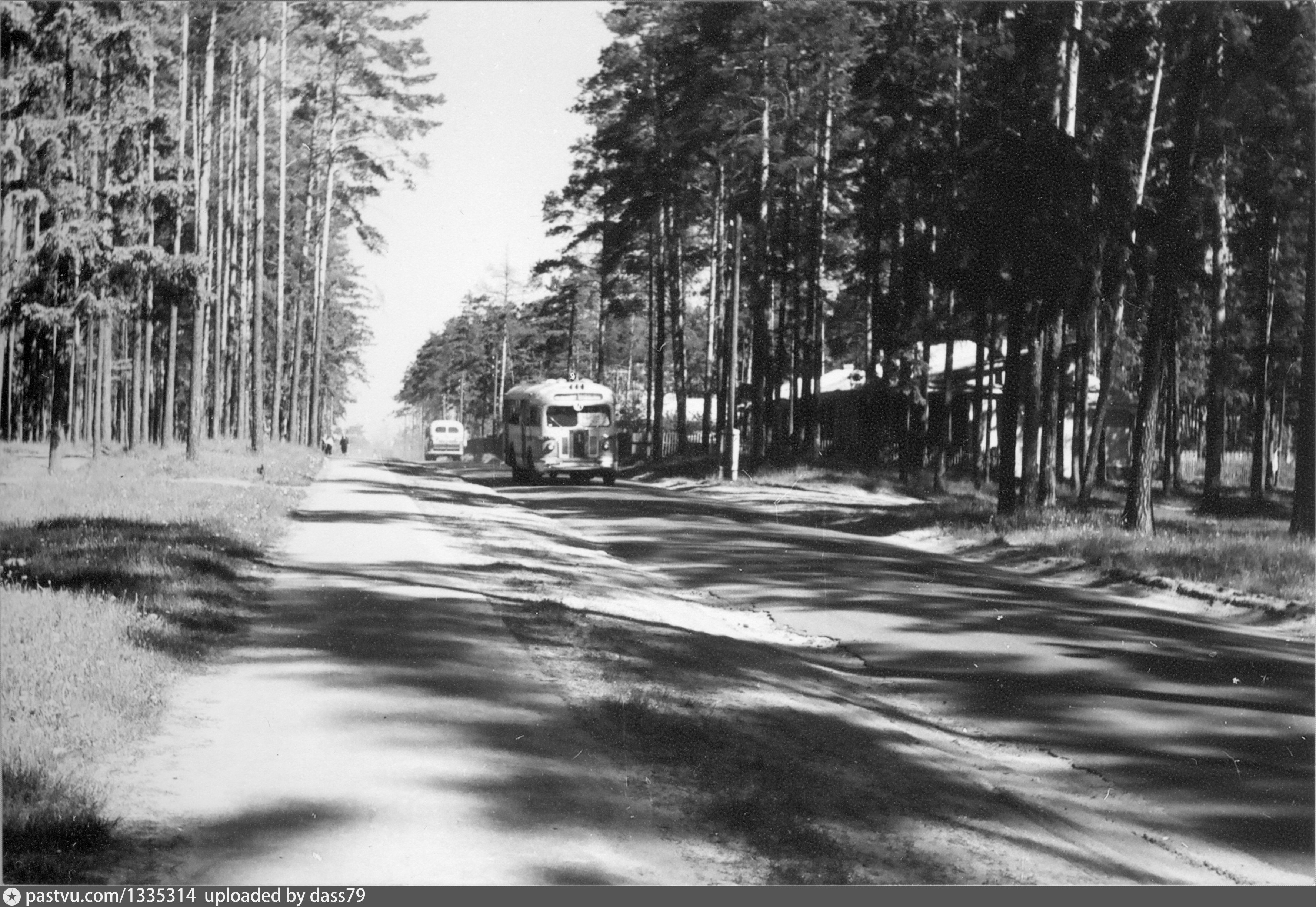 Ретро лесной. Картинка улица Лесная.