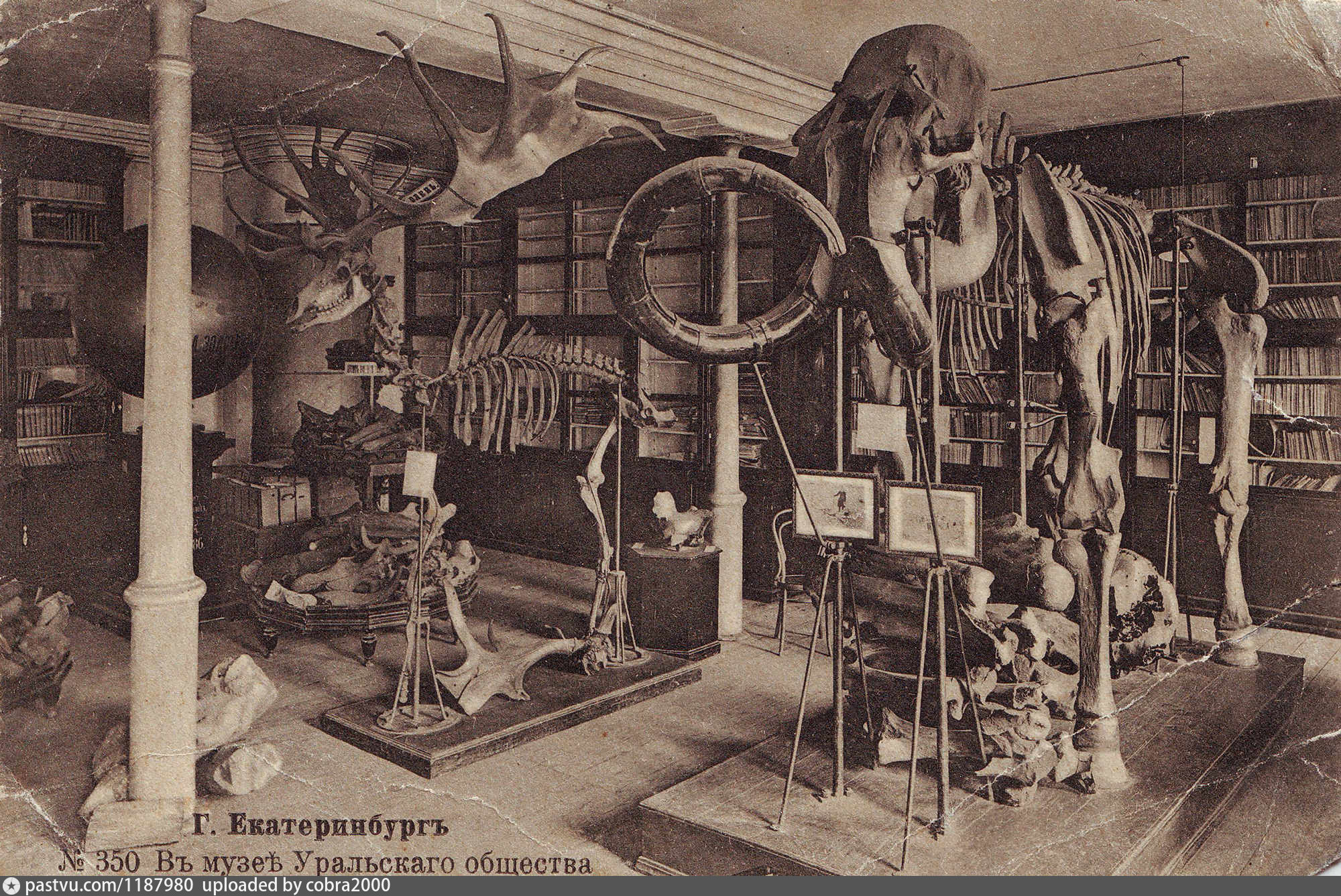 екатеринбург музей уральского общества любителей естествознания. уральское общество любителей естествознания. уоле екатеринбург 19- 20 век. уральского общества любителей естествознания уоле. музей уоле екатеринбург.