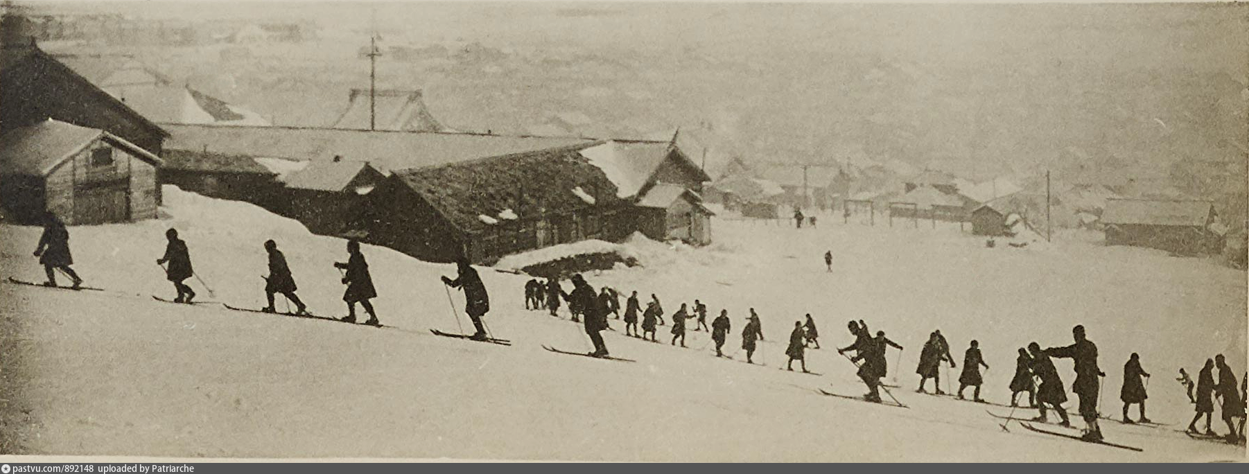 Карафуто 1920- 1930 г. Карафуто. Карафуто японский период на Сахалине. Лес Карафуто.