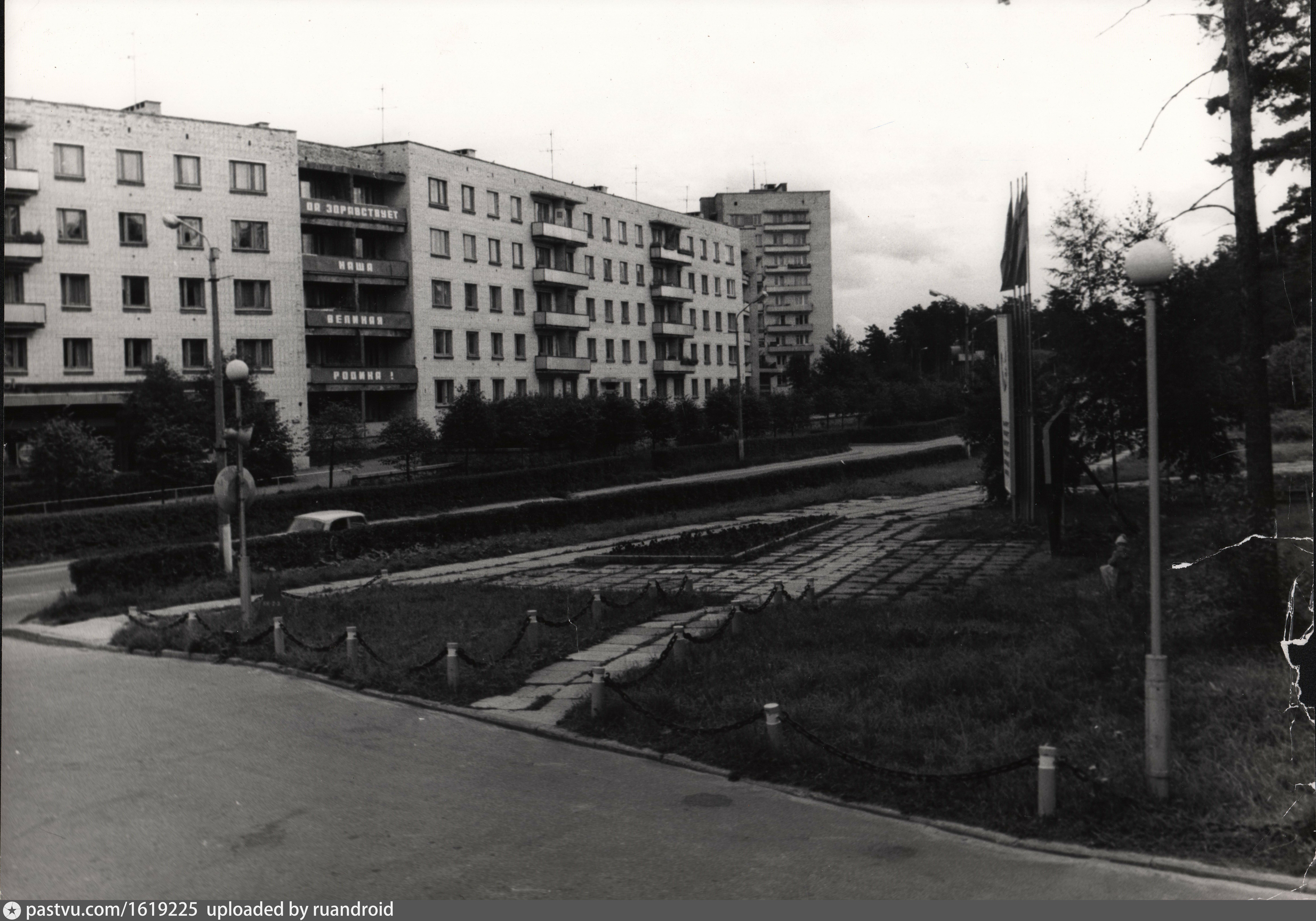 сосновый бор ленинградская фото города